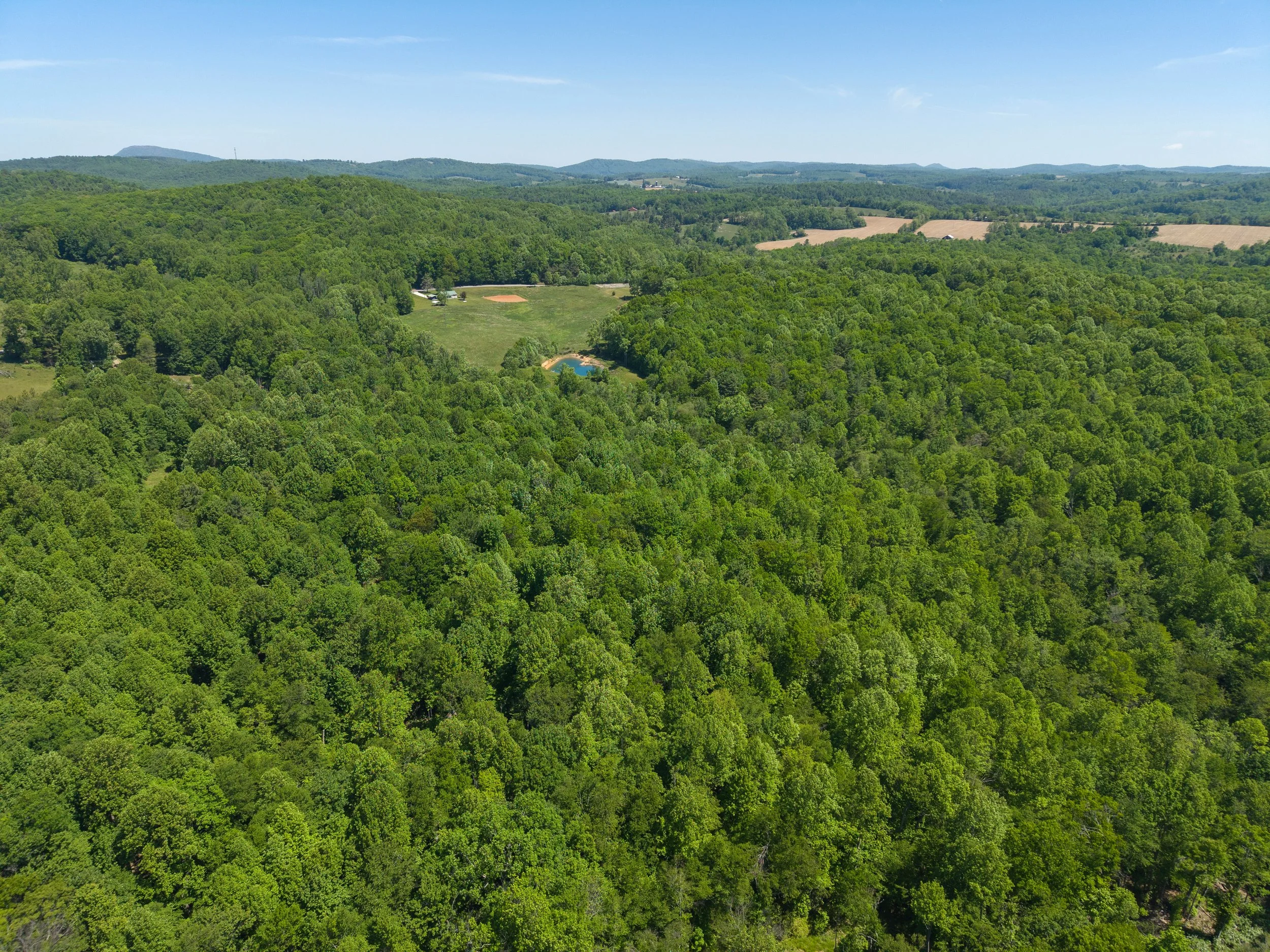 06-7 Lower Dam Rd (38 ac)-MFW Media.jpg