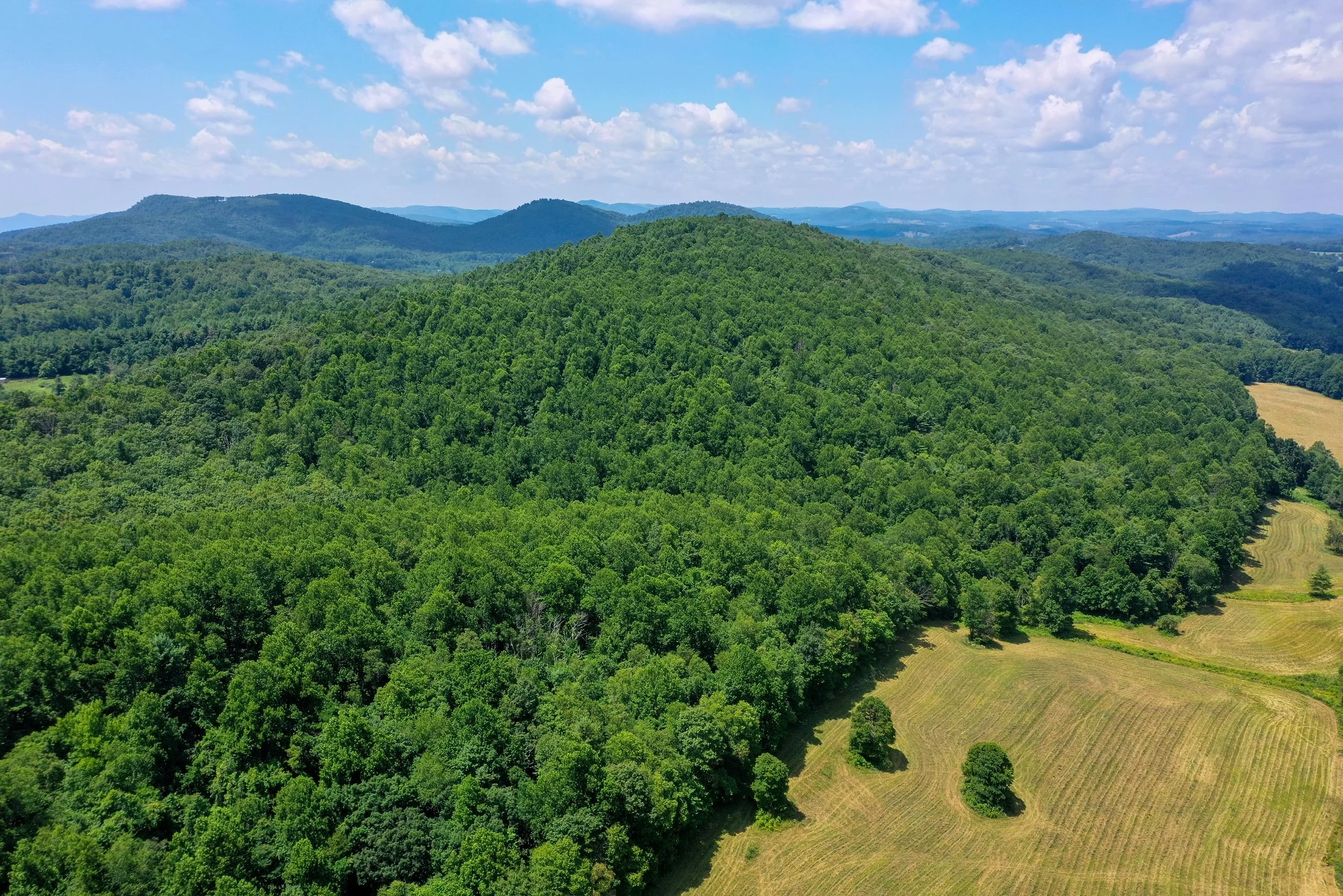 Blue Ridge Parkway 2025 edited-09.jpg