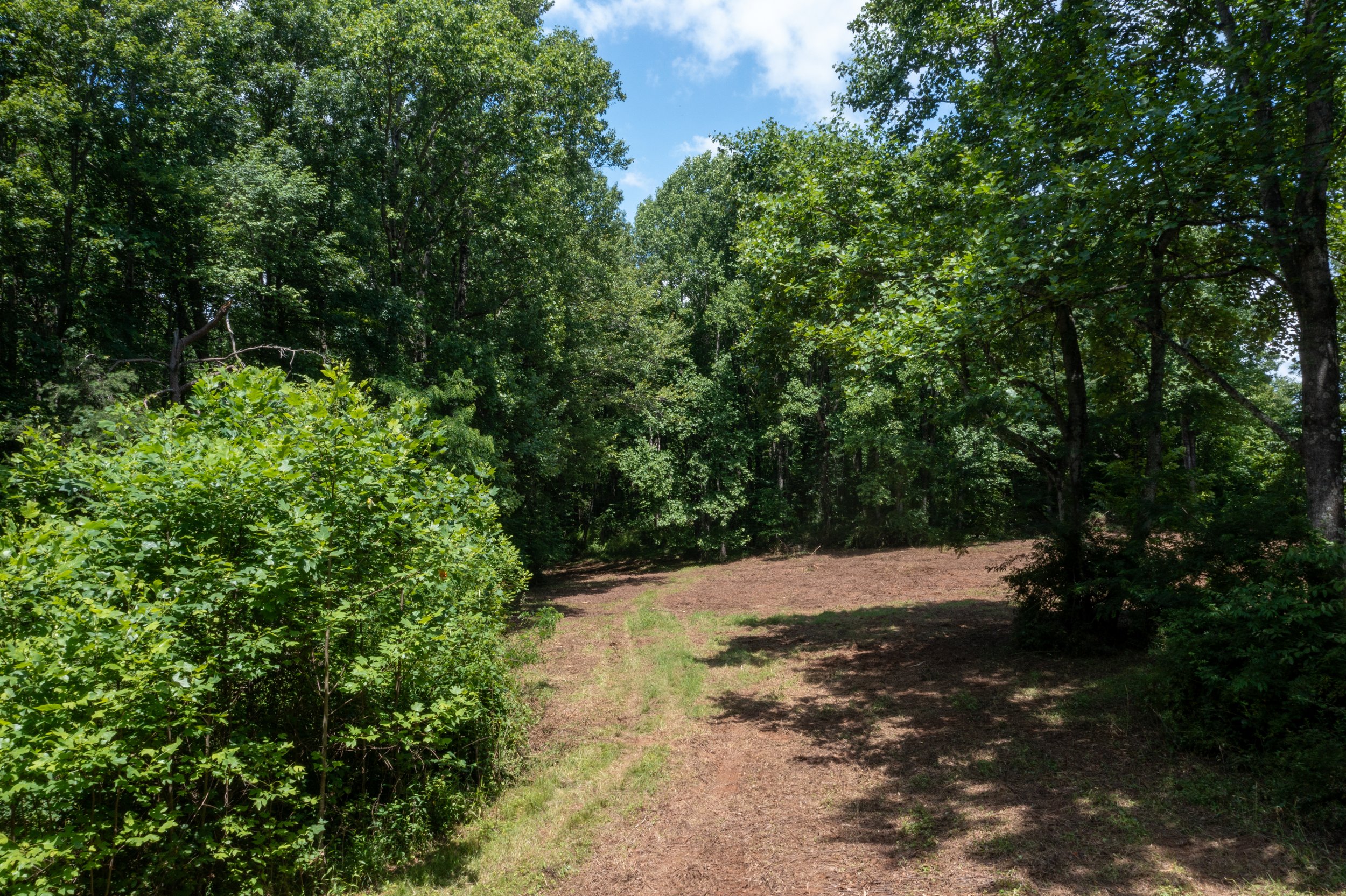 DJI_0838.jpg
