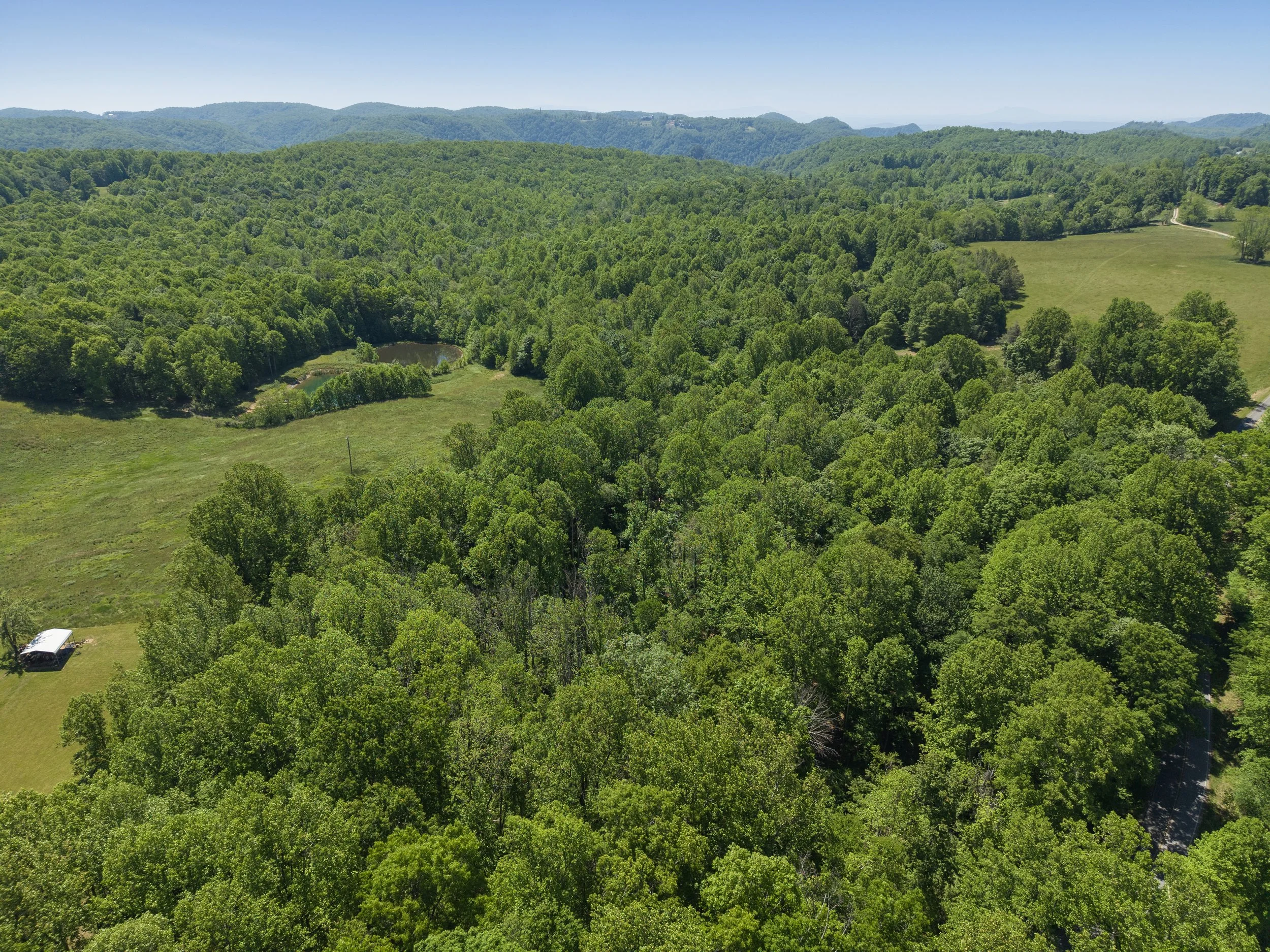03-7 Lower Dam Rd (38 ac)-MFW Media.JPG