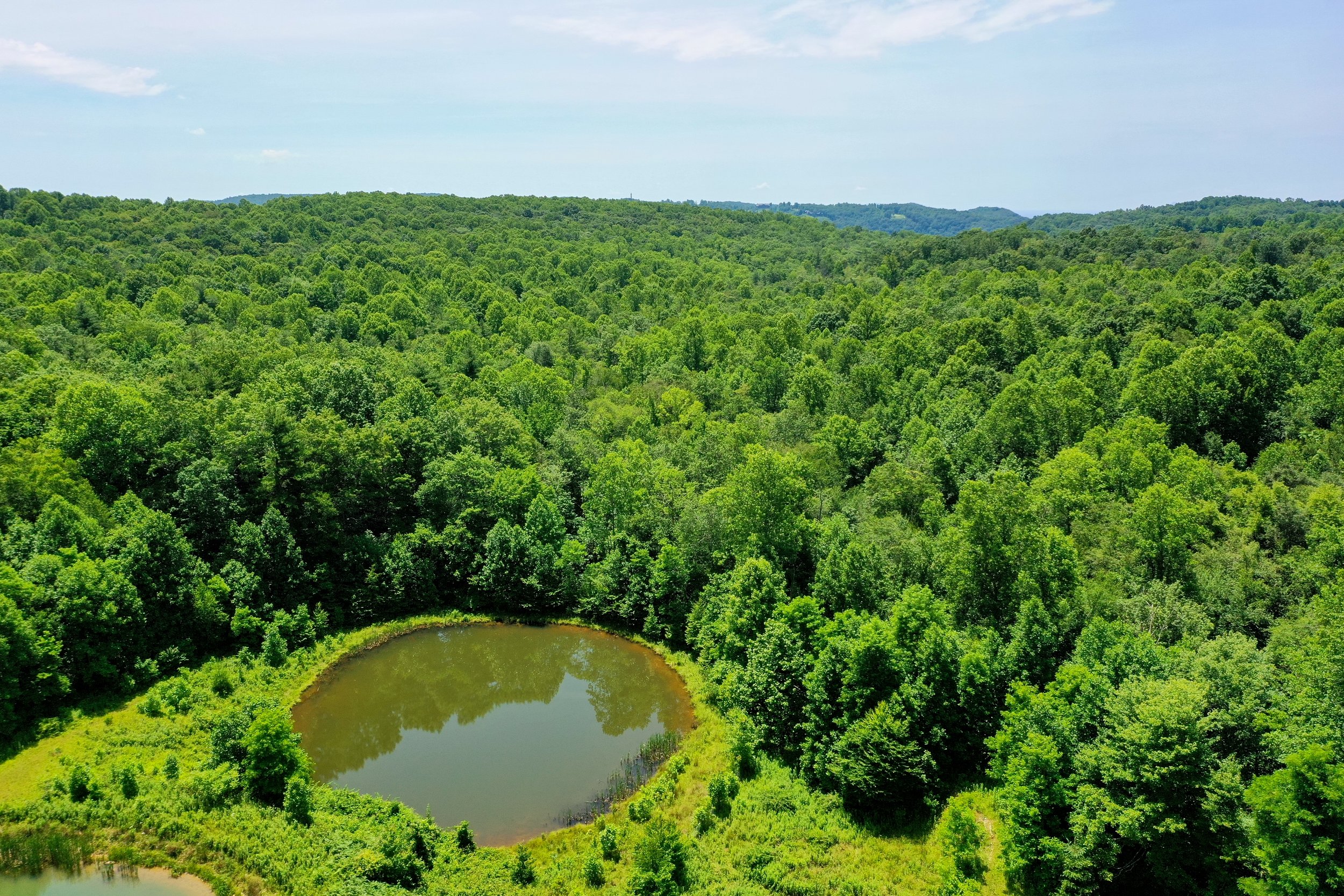DJI_0834.jpg