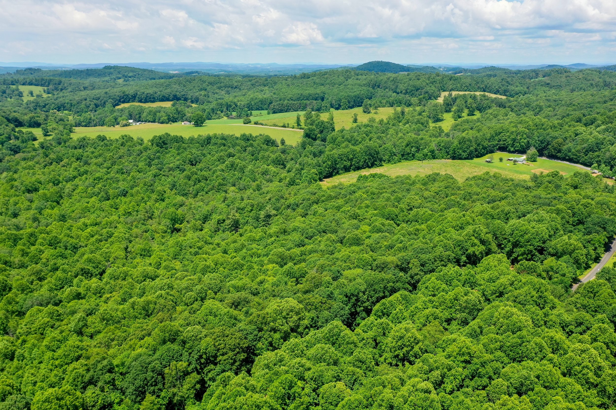 DJI_0824.jpg