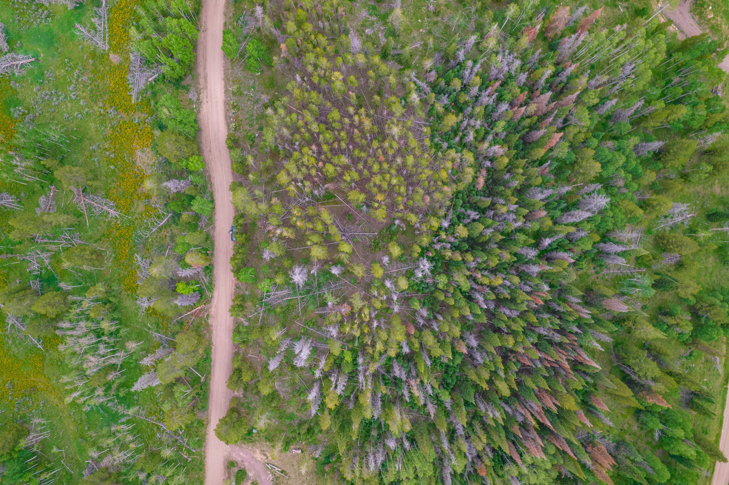 Aerial Photo of Vacant land Parcel near Steamboat Springs