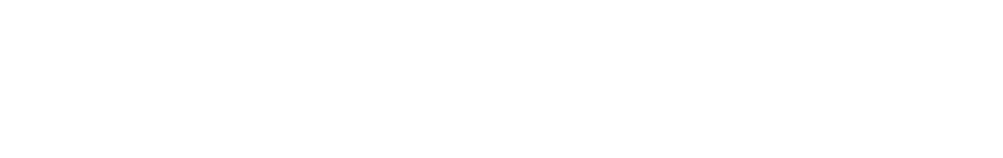 cnz_logo_png_white CROP.png