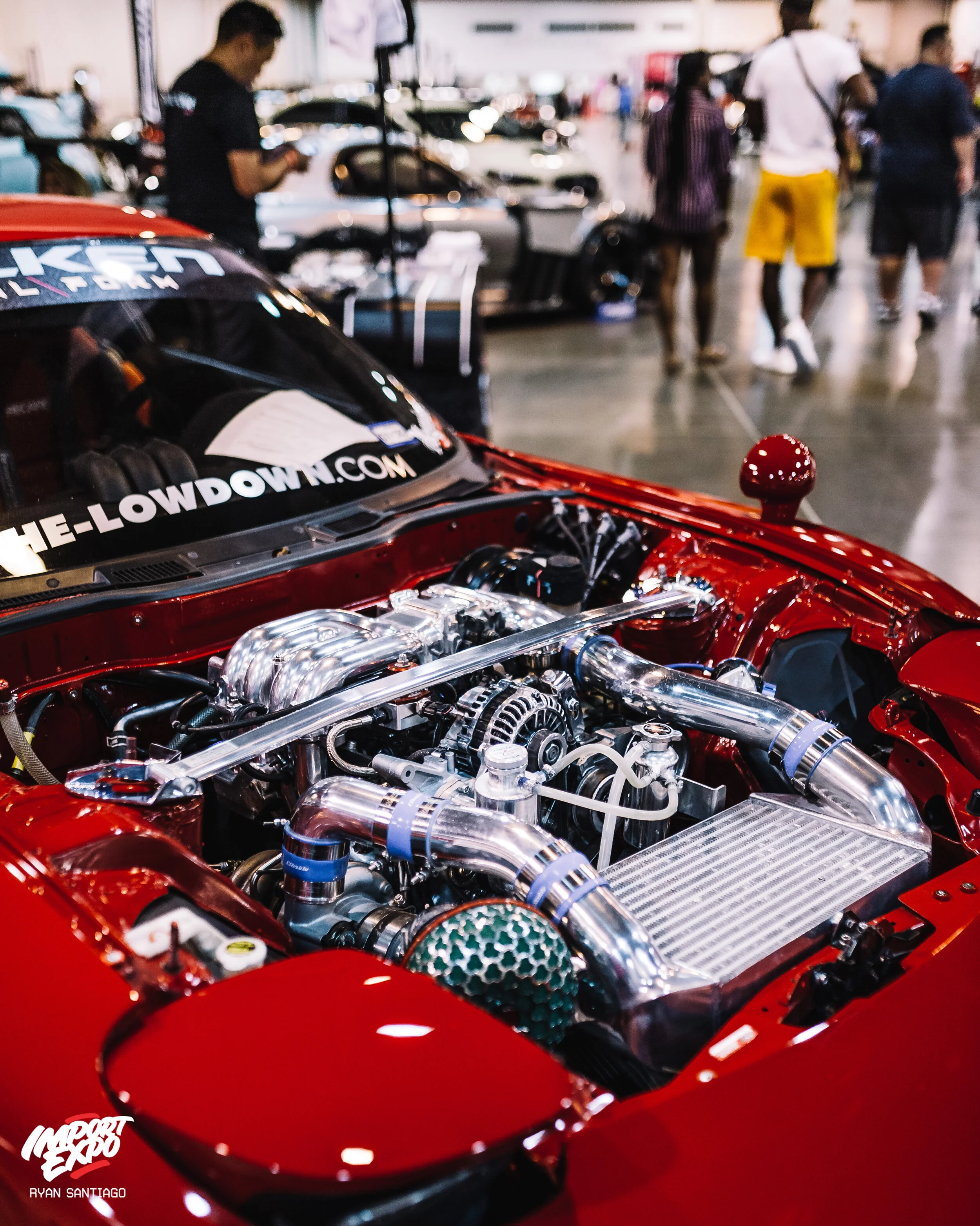 CONTACT — IMPORTEXPO