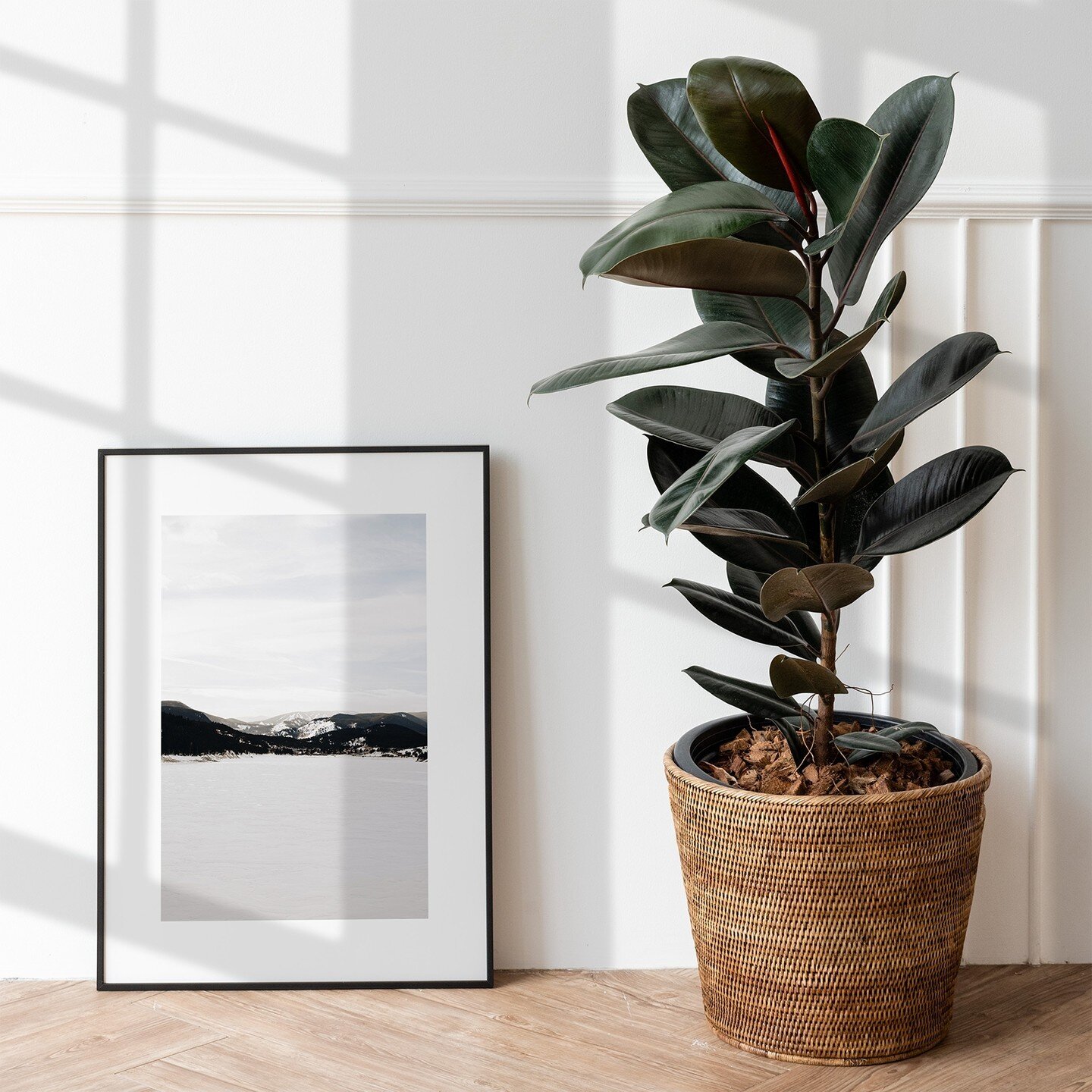 Add a touch of style to your home with our 'Snow Mountain View' framed print⁠
⁠
#bopart #wallart #photographicprint #dailyposter #minimalistinteriors #minimalmood #minimalliving #contemporaryphotography #snowymountains #mountainphoto #posterprints #b