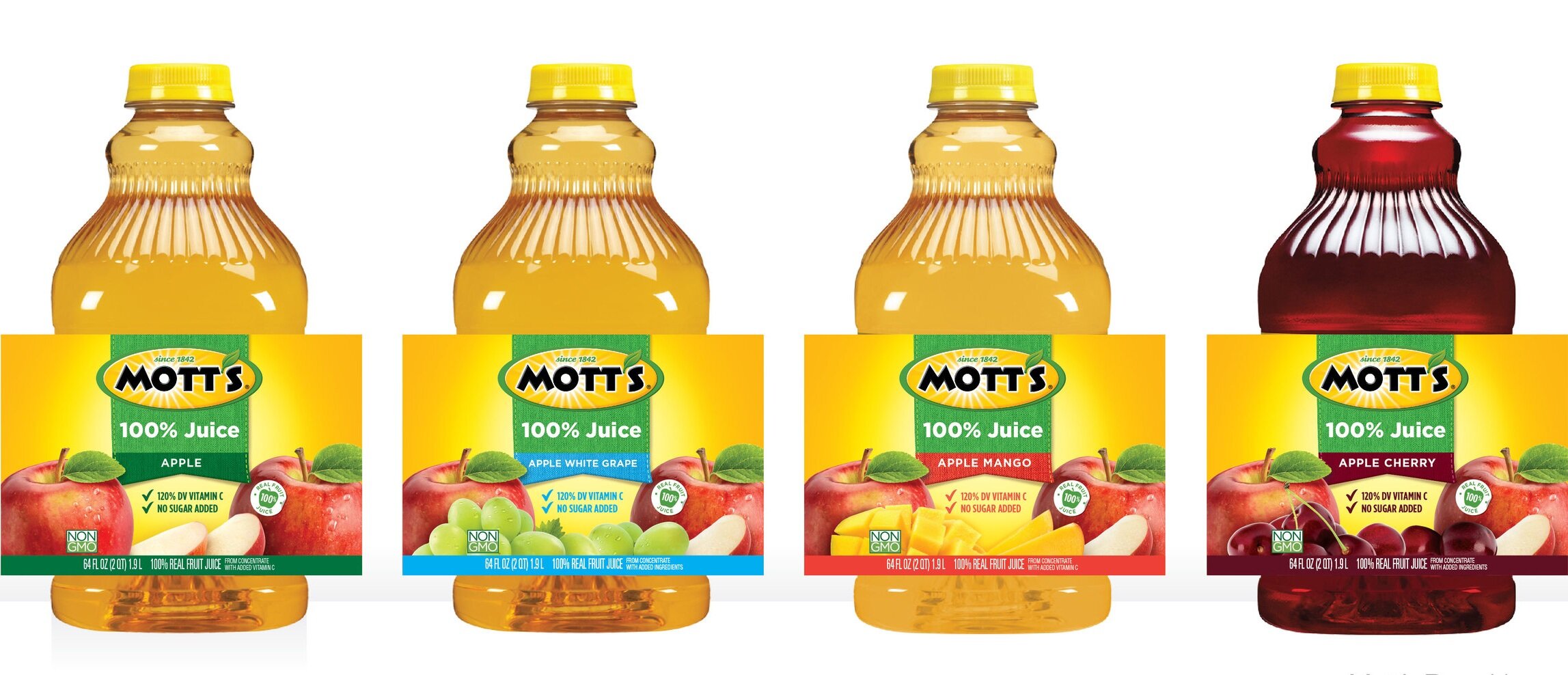 17-05-12_Motts_Base_Revisions_Base+Lineup.jpg