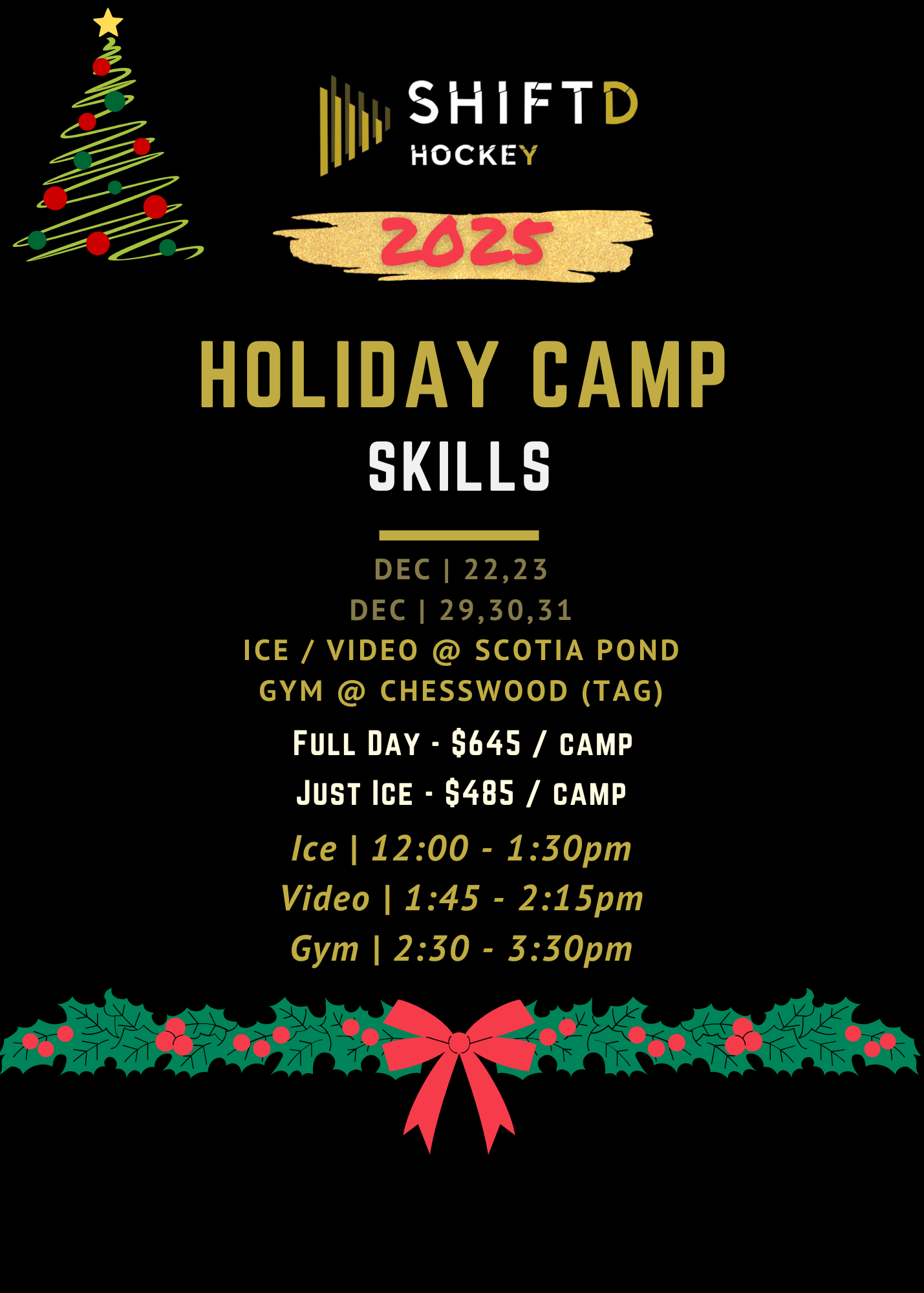 Just Ice (Daily) - Skills Holiday Break Camp 2025
