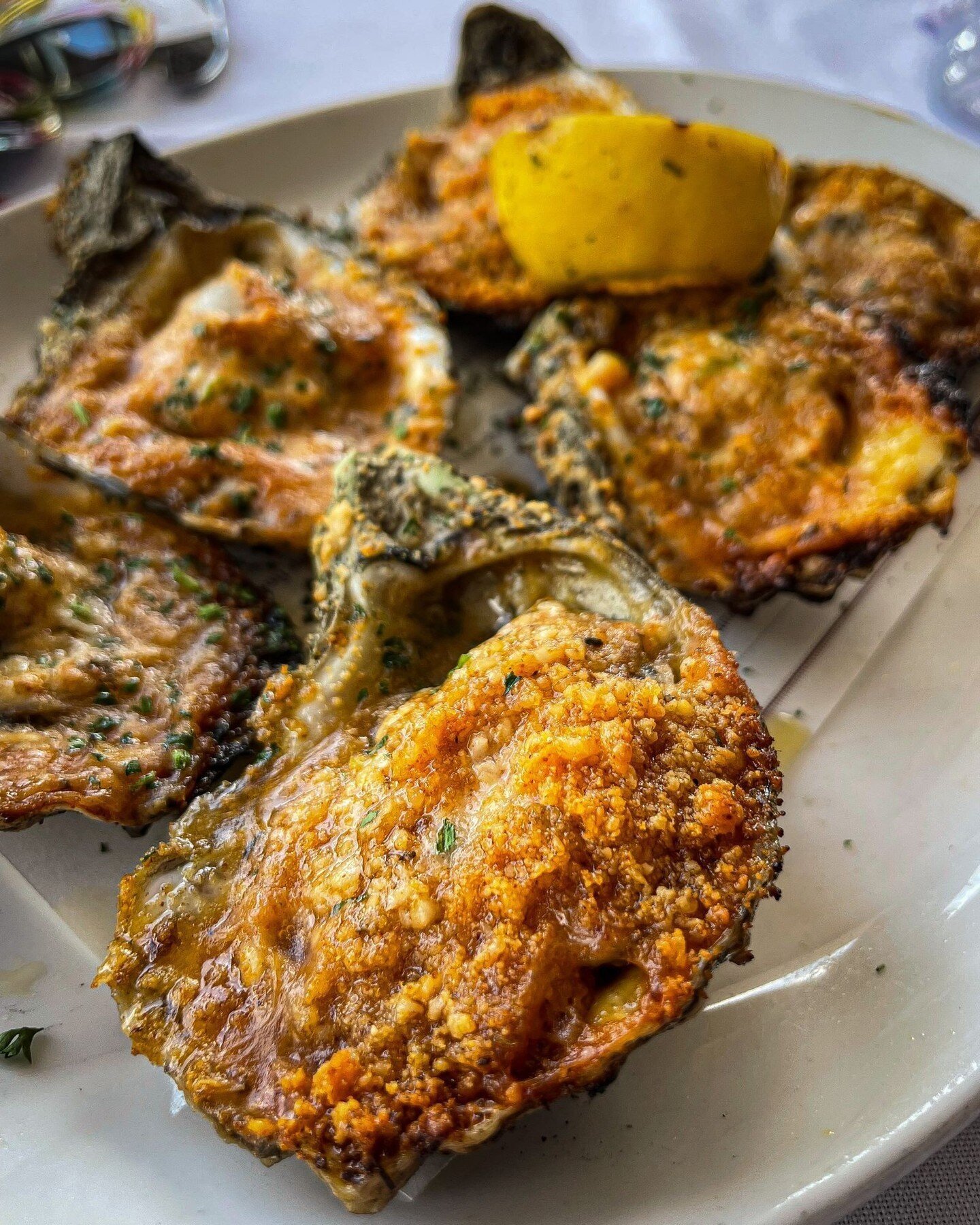 Recently had an amazing meal at @cands_seafood_vinings in Atlanta! 🤤 Their Rockefeller Oysters, Chargrilled Oysters, &amp; Calamari were all mouthwatering. 

Plus, my New Orleans friends @ogmarkel &amp; @masterchefjb approved, so you know it's legit
