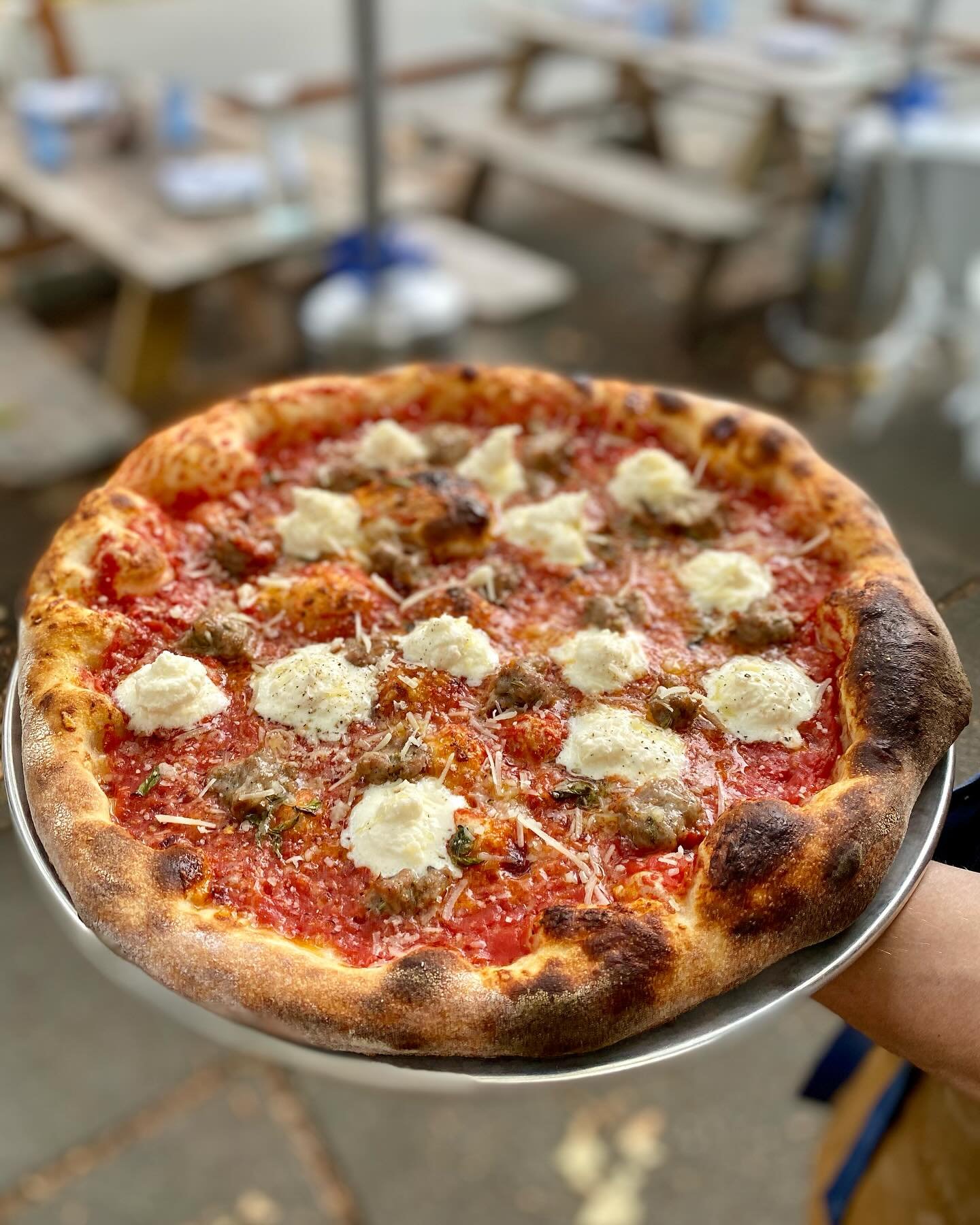 New pizza!

Flying Sauser II - fennel sausage, stracciatella, oregano, parmesan reggiano