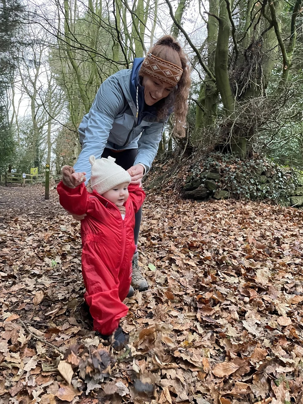 Bickerton Hill Circular Walk — My Mountains and Me