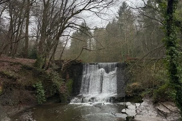 Wepre Park: A Family Guide