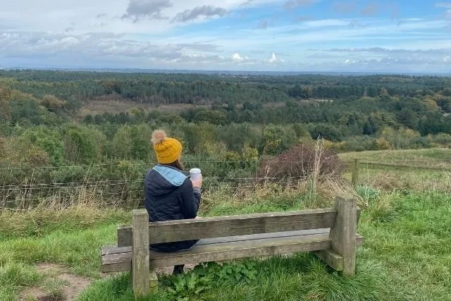 The Old Pale Trail, Delamere Forest