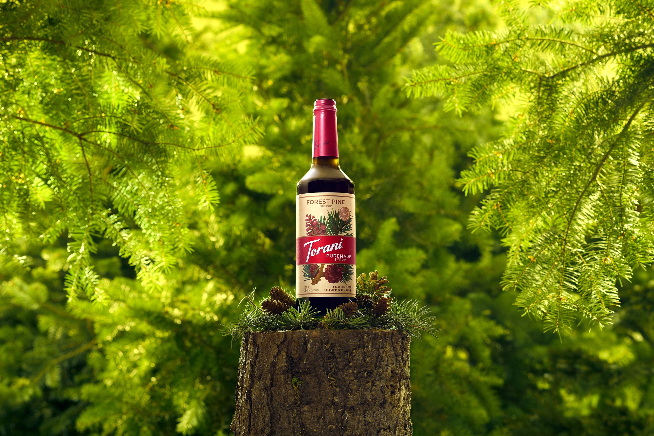 Torani | Torani Forest Pine Syrup