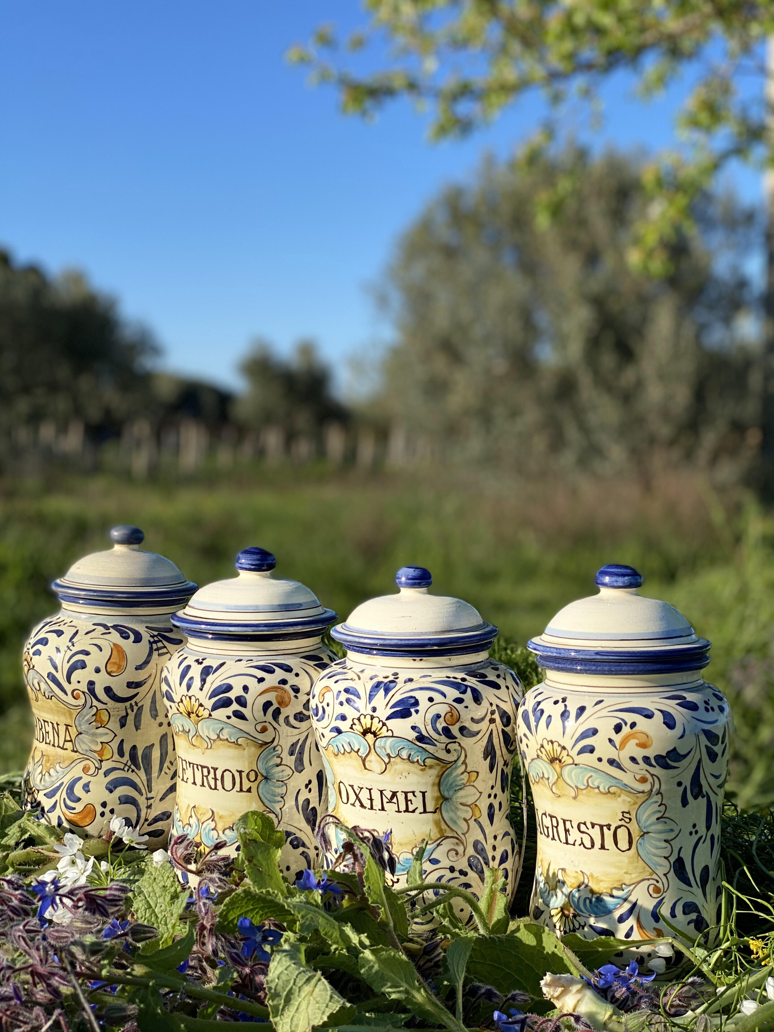 Quartetti Natura