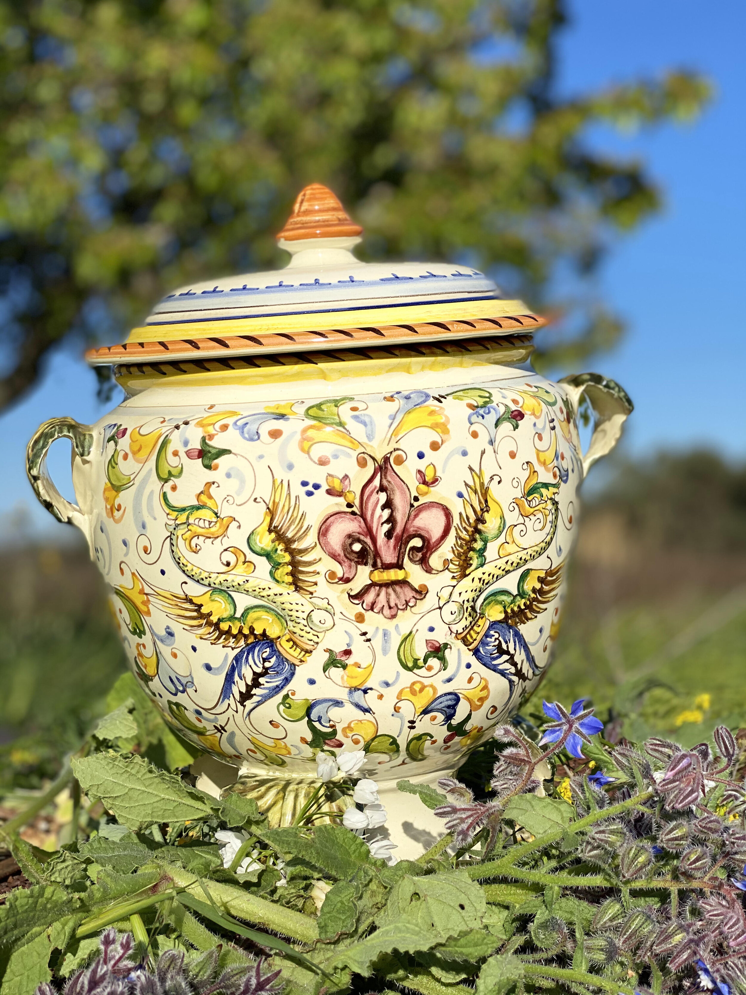 MAIN_IMG_8977.jpg