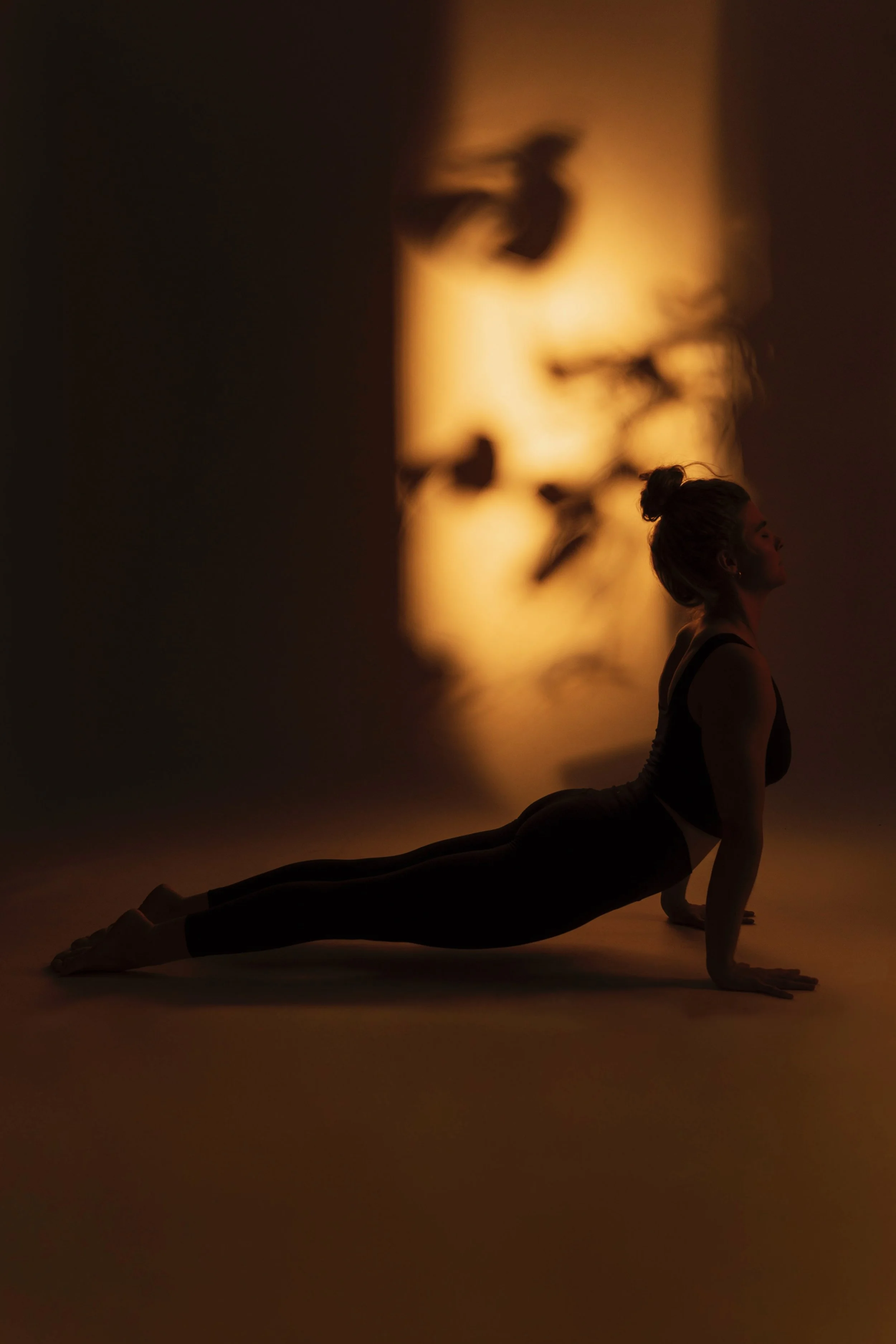 108 Sun Salutations |&nbsp;the return of the light