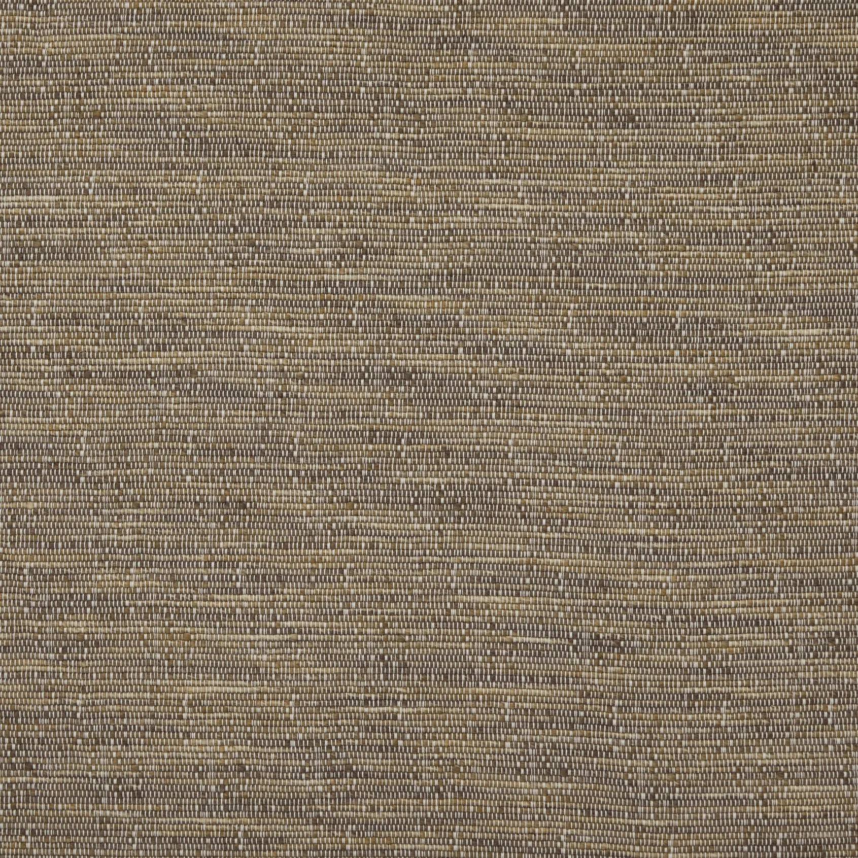 Sendero | Taupe