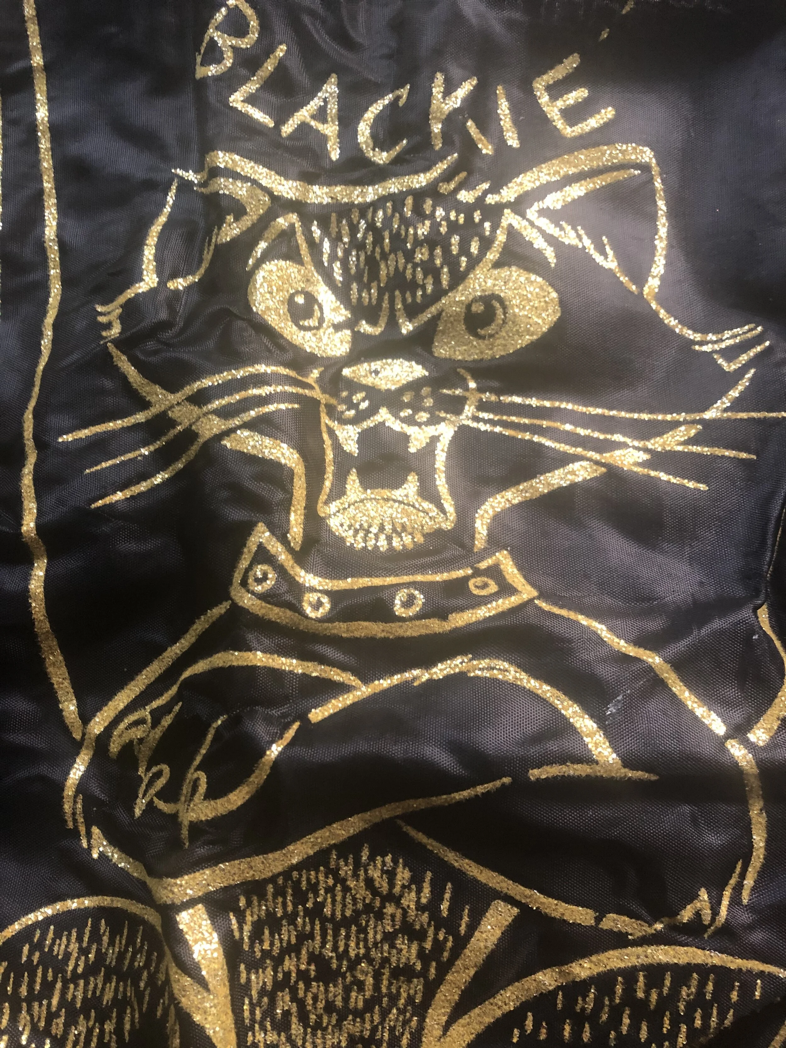Detail of Black Cat Halloween Costume by Spookville (Creatively named "Blackie")