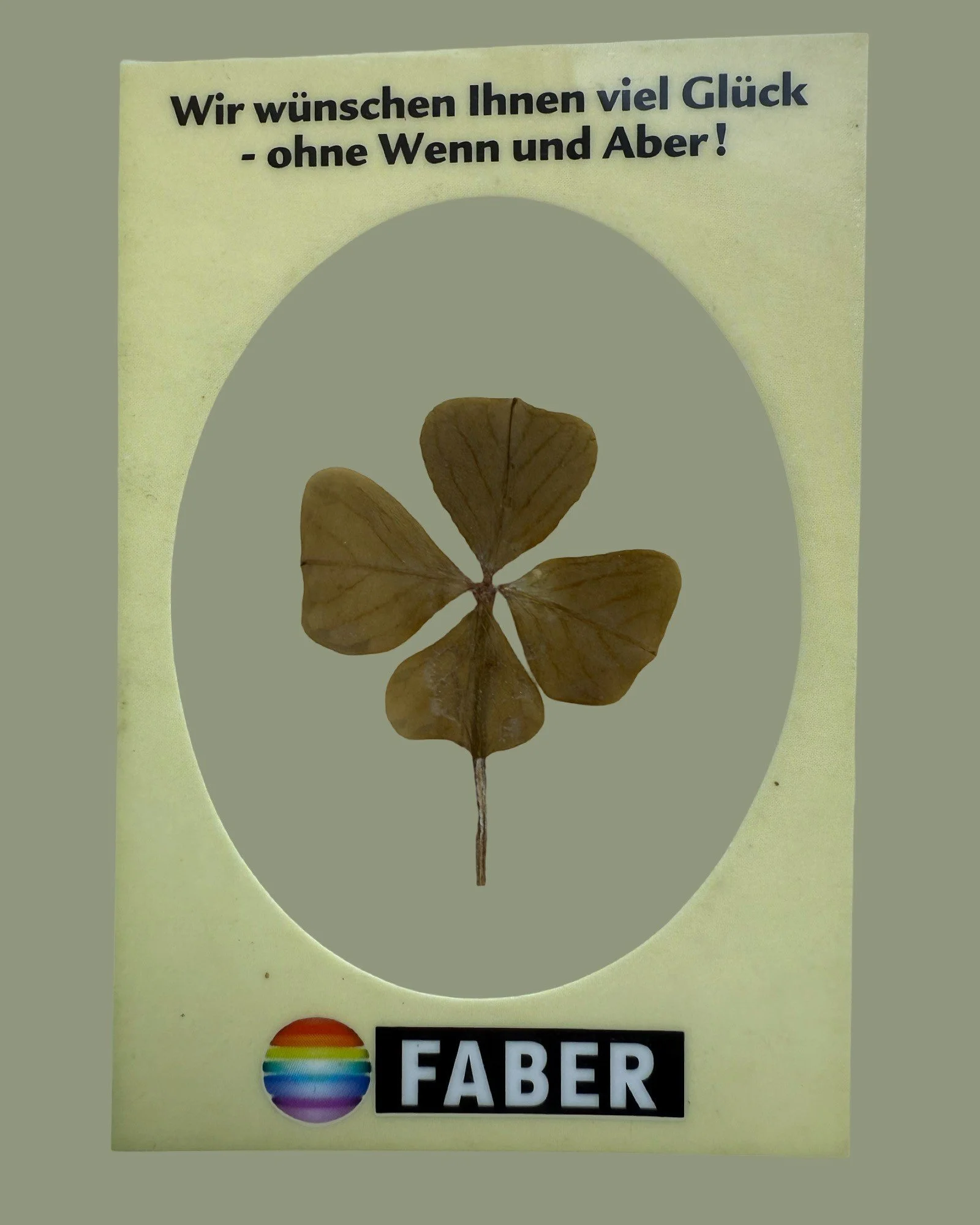 Pressed Four Leaf Clover in Plastic Sleeve; House of Good Fortune Collection