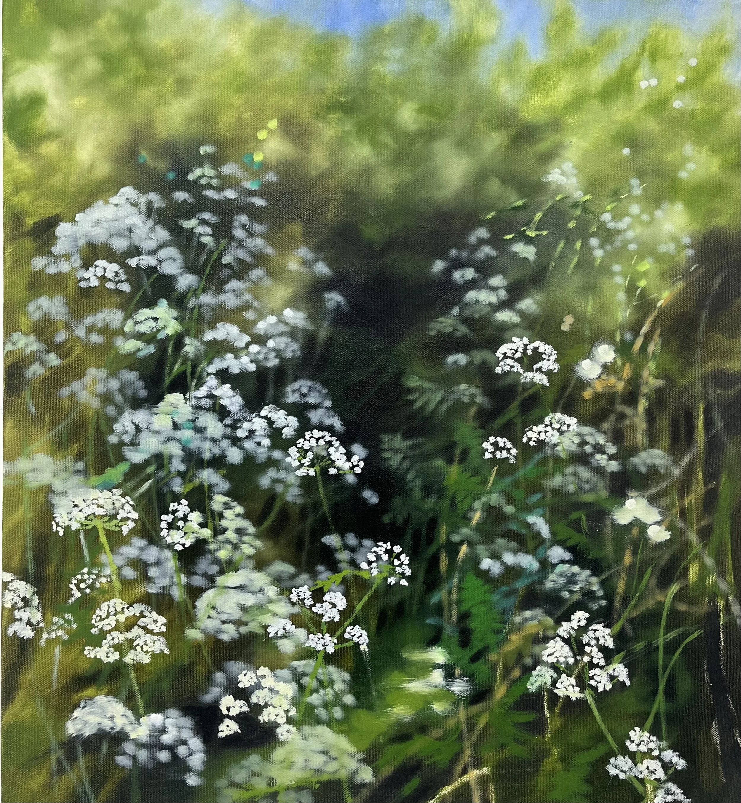 cowparsley hedgerow II.jpg