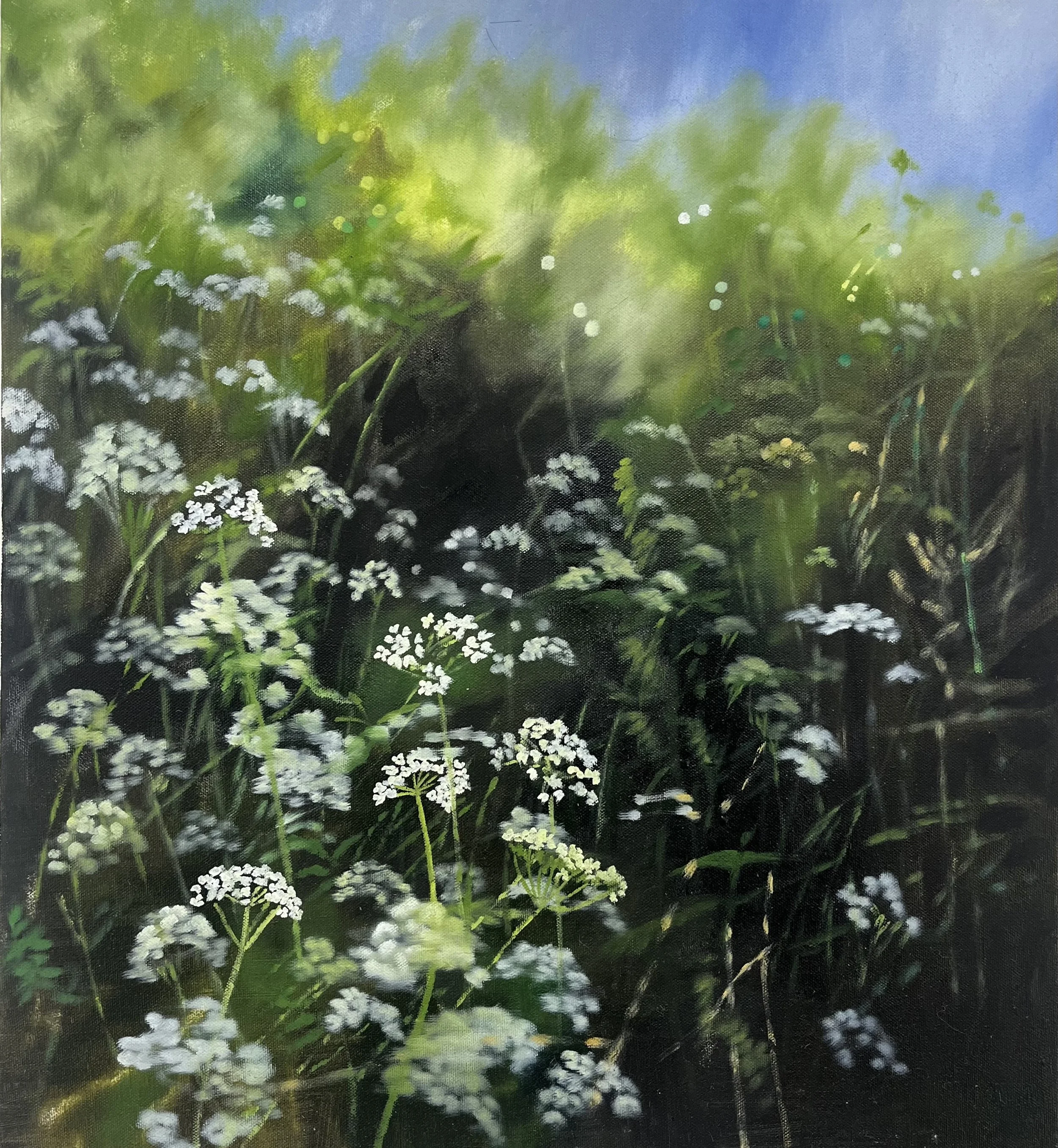 cowparsley hedgerow.jpg