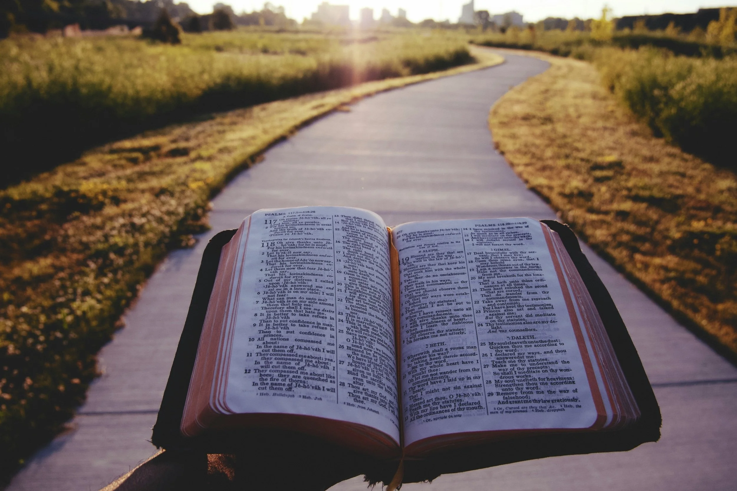Bible on path LG.jpeg