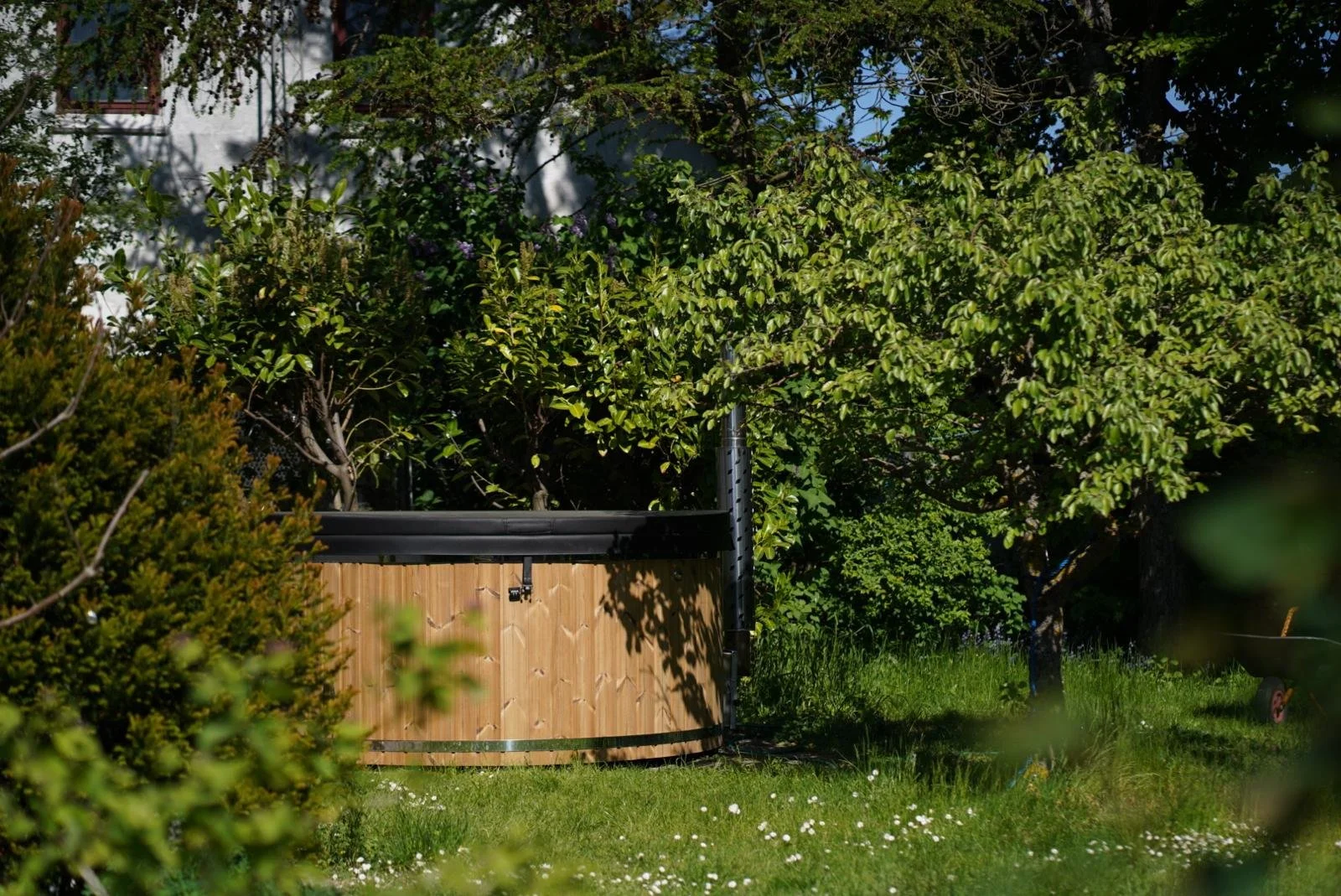 WhatsApp Image 2024-05-17 at 16.34.35 (1).jpeg