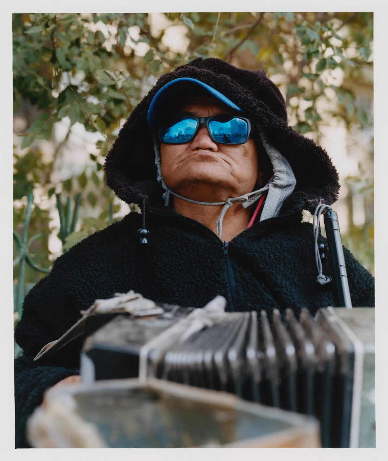 AdM_Mongolia_0026v2_f1.jpg