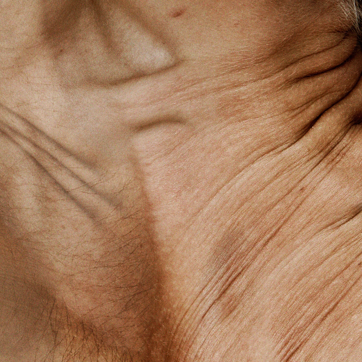 blanck-mass-2.jpg