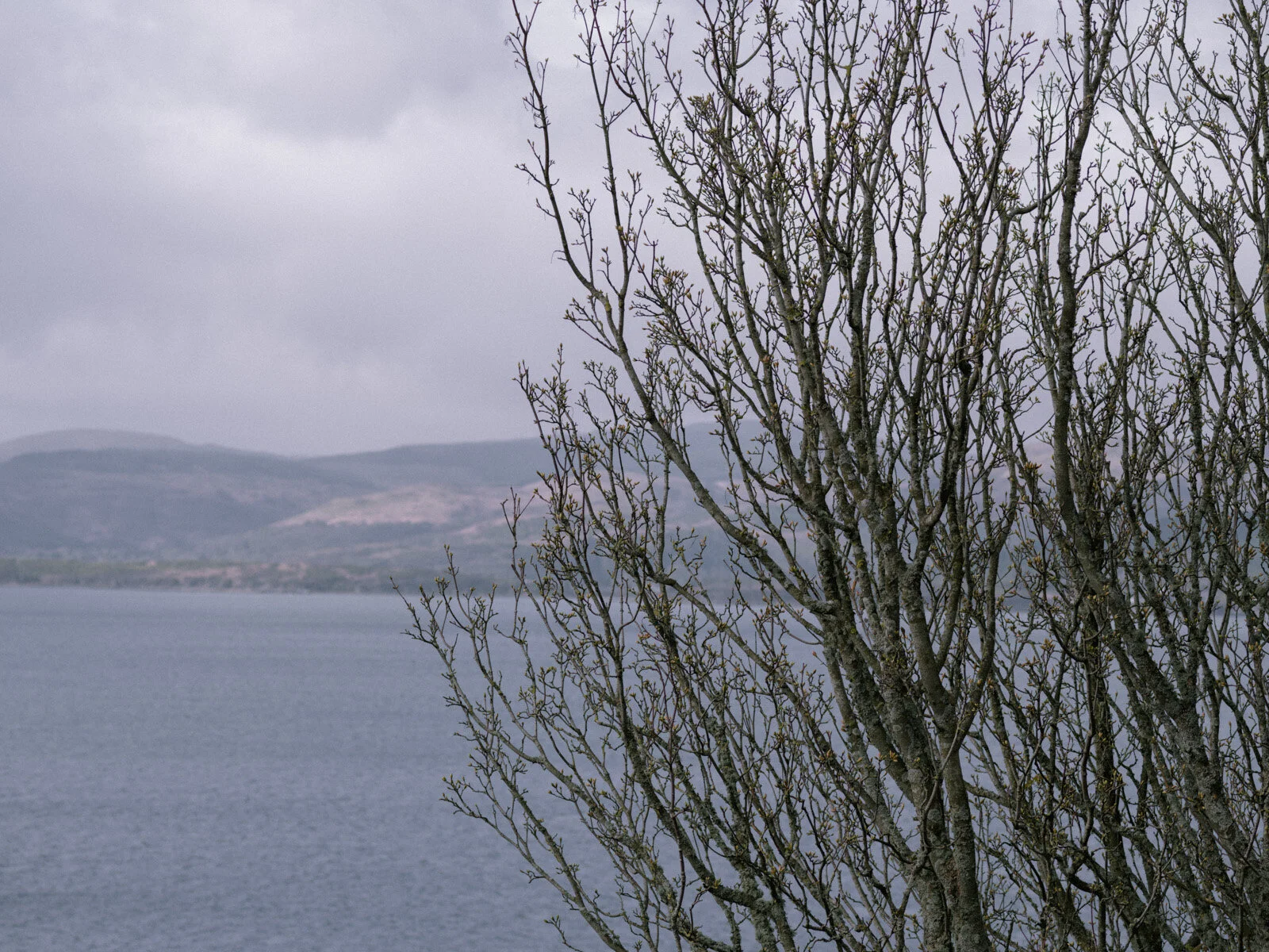 loyle-carner-25.jpg
