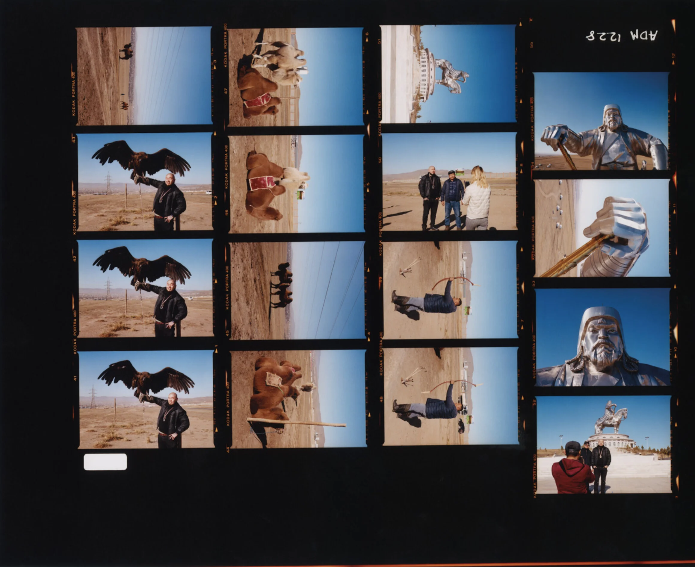 contact sheet 1.jpg