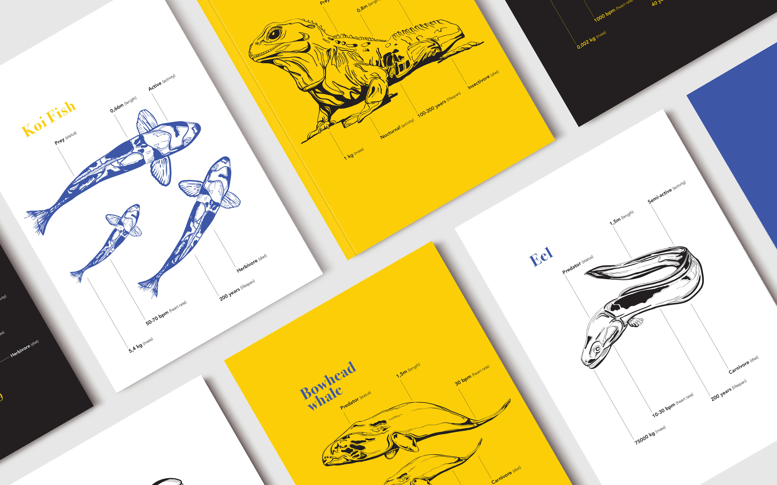 Illustrations.jpg
