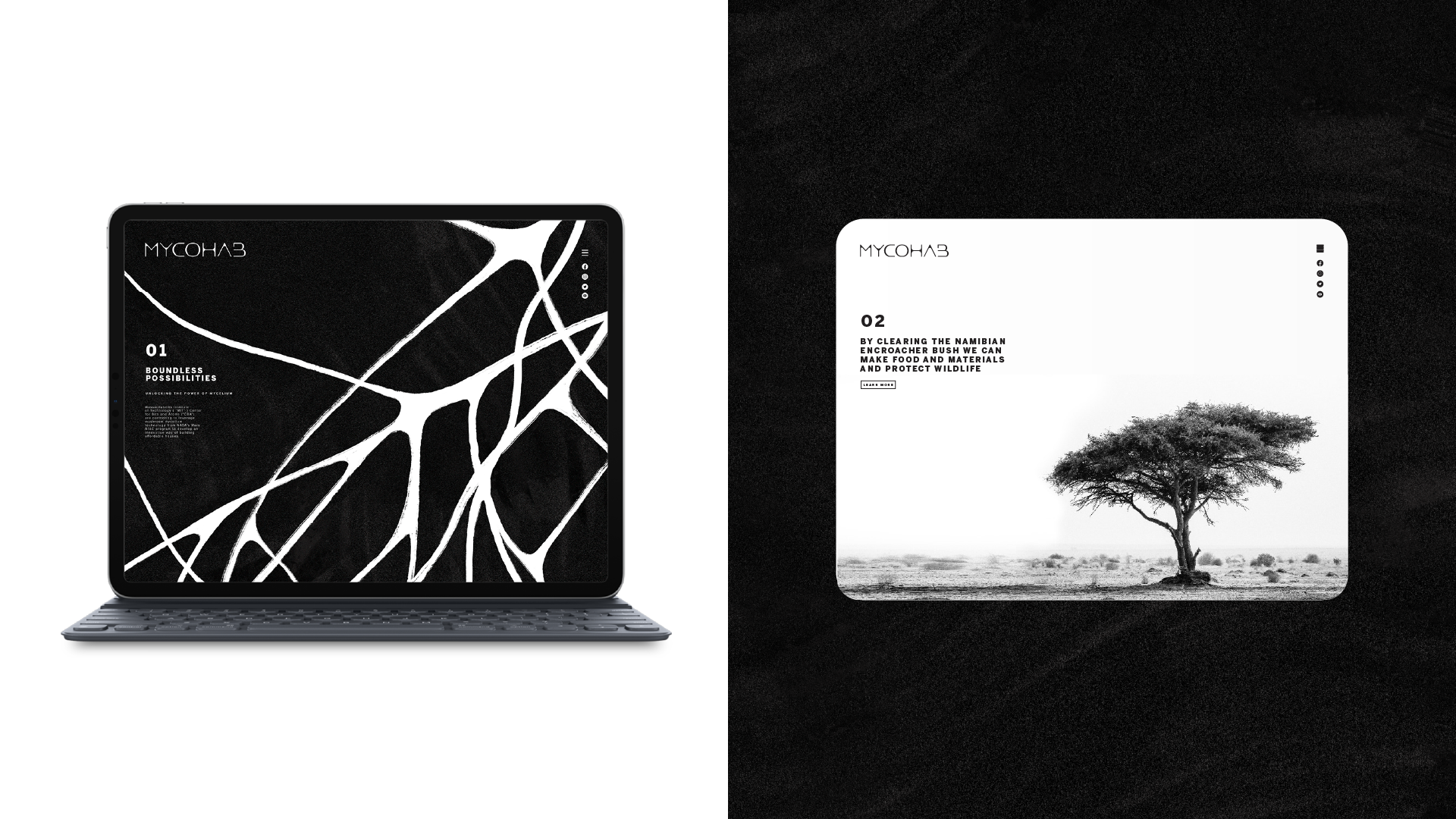 MycoHab Brand boards-19.png
