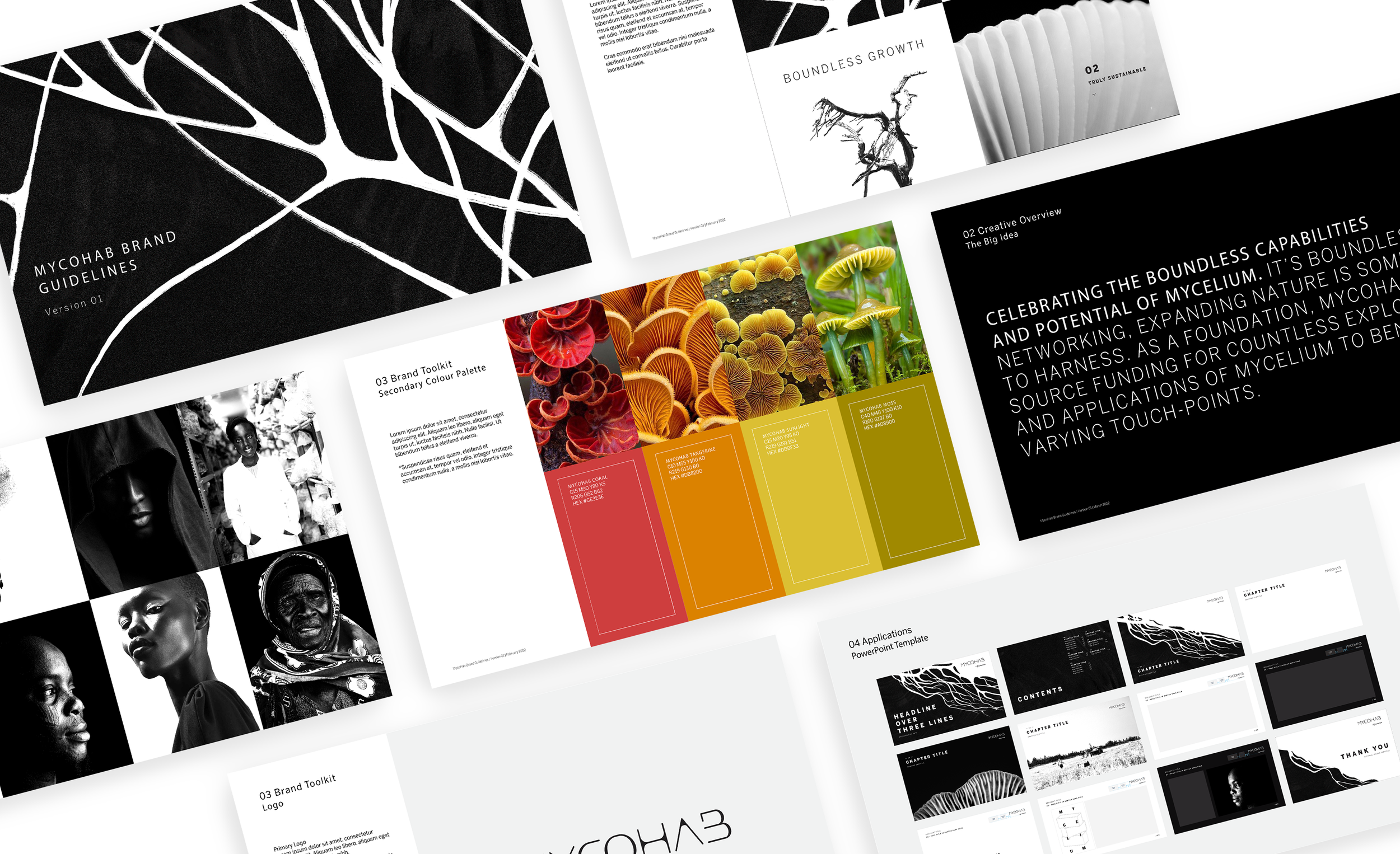 Presentation Boards.png