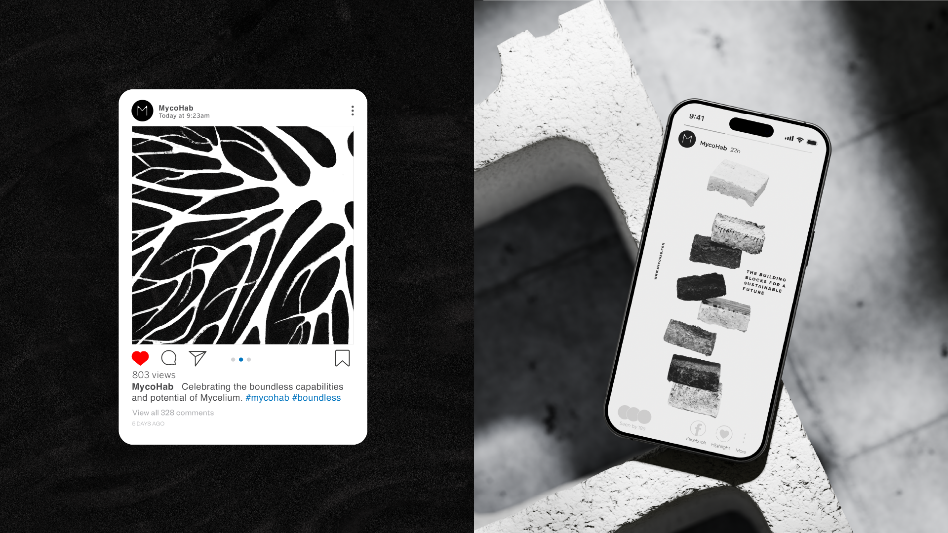 MycoHab Brand boards-05.png