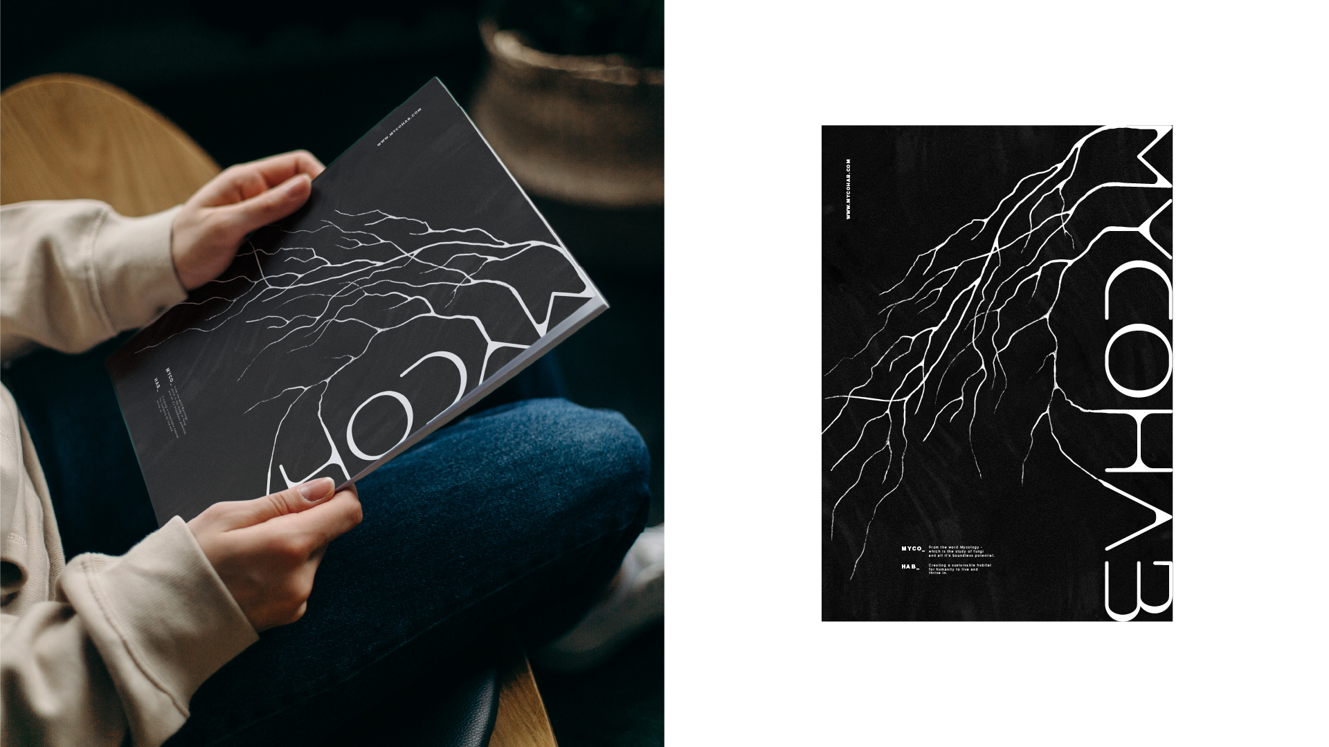 MycoHab Brand boards-07.png