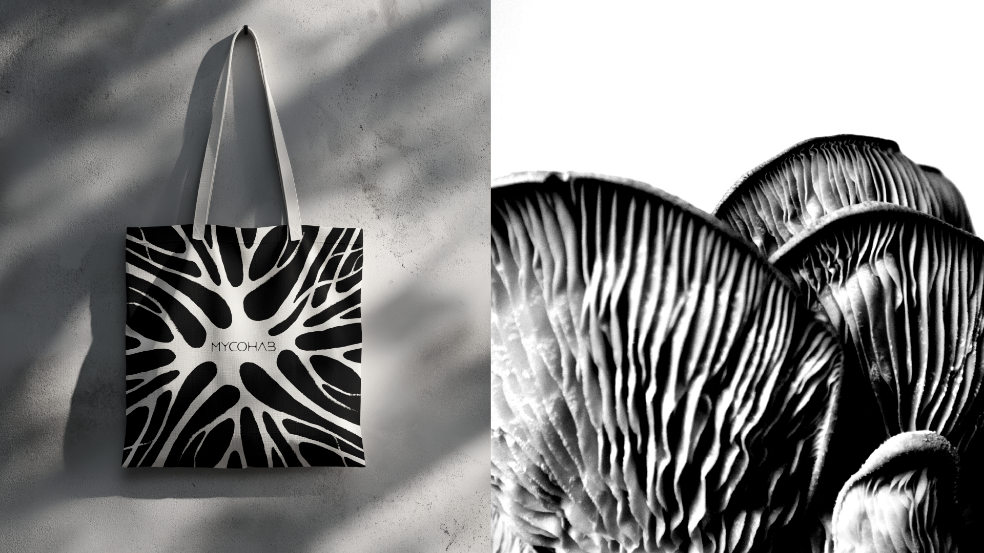 MycoHab Brand boards-09.png