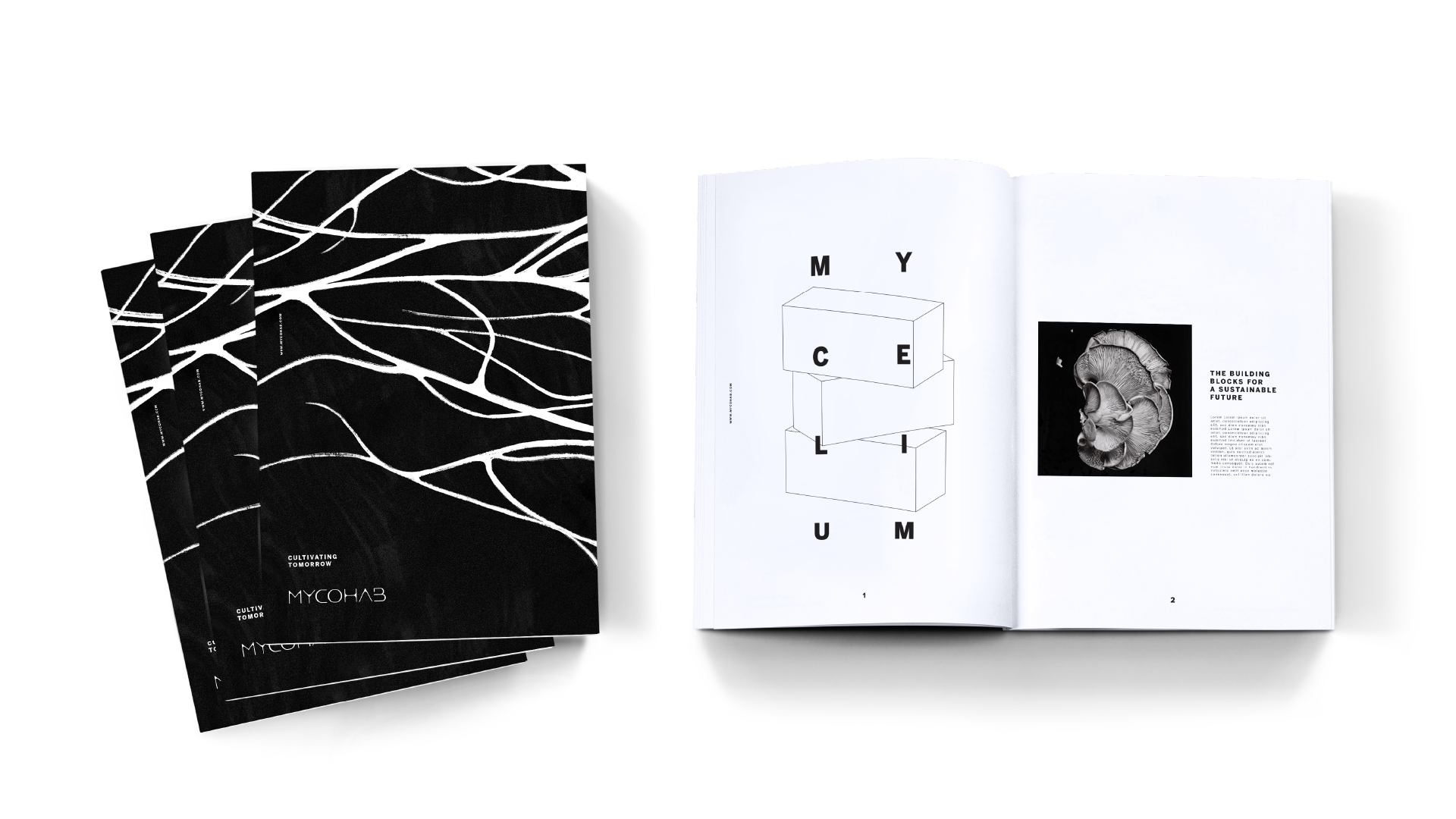 MycoHab Brand boards-06.png