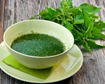 brennesselsuppe