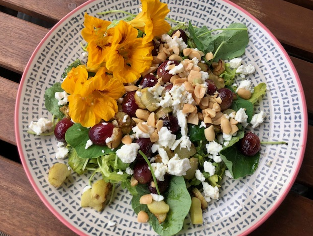 frühlingssalat mit rhabarber