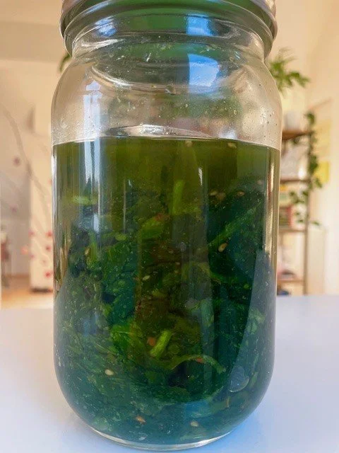 fermentierter bärlauch