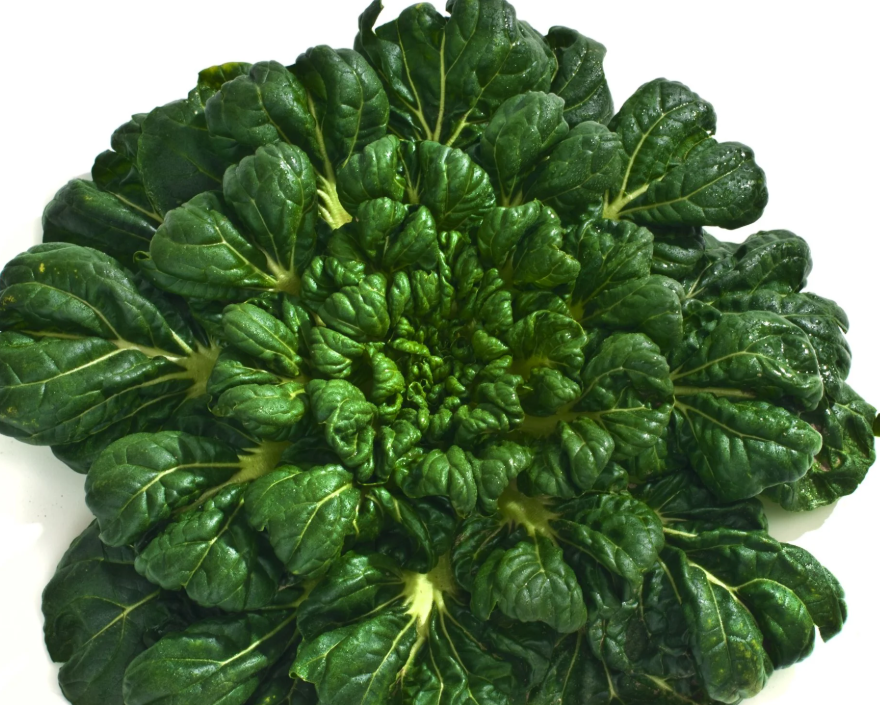 tatsoi stir fry