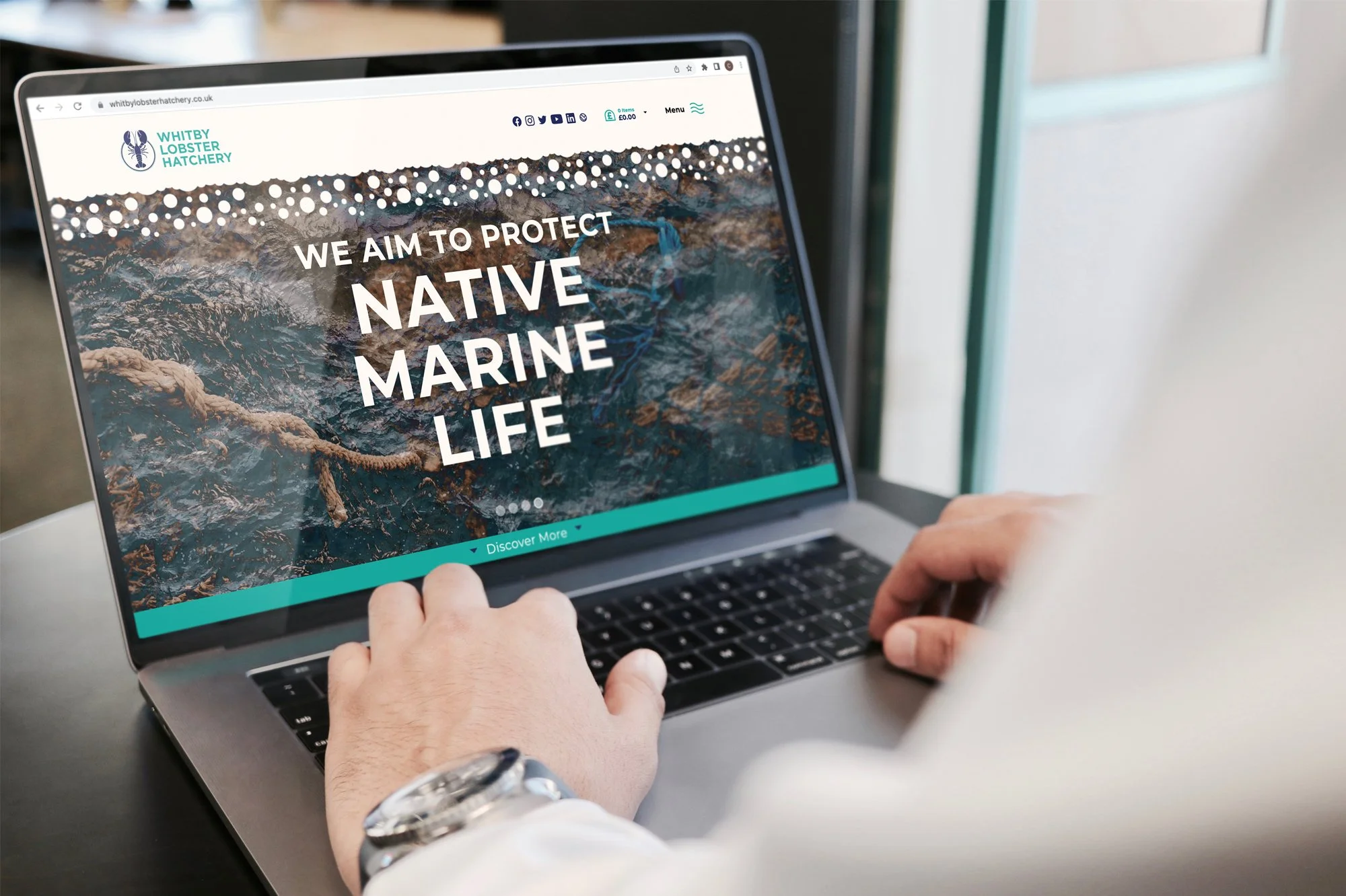 Whitby Lobster Hatchery Charity Website by Fitzpatrick Design