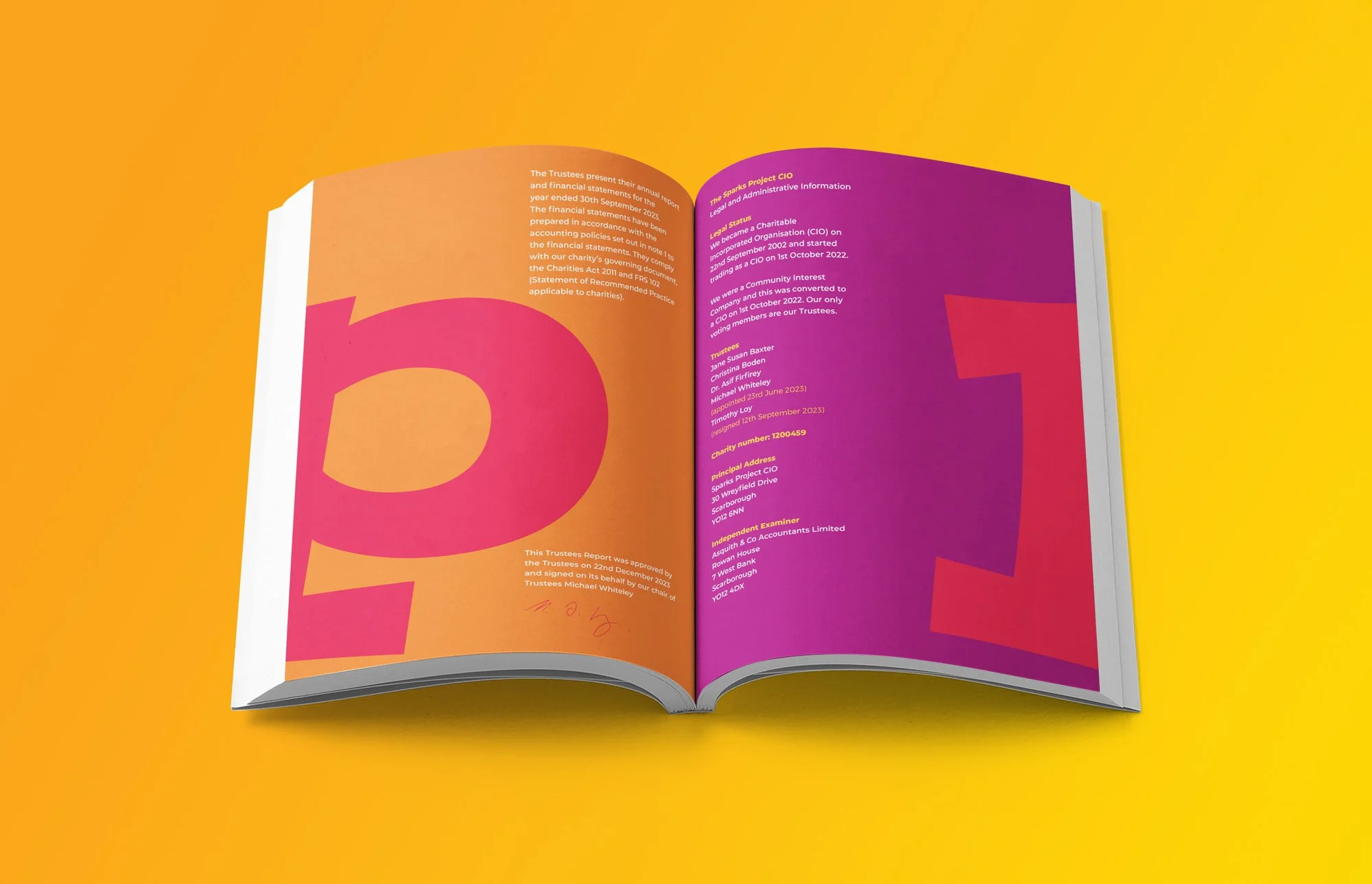 Sparks Project Annual Report Design by Fitzpatrick Design