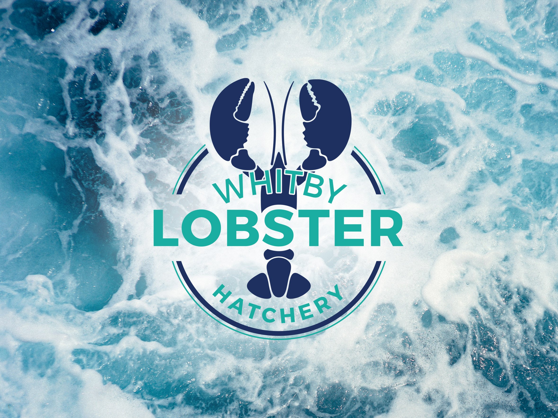 Whitby Lobster Hatchery / Charity Brand Development & Environmental Branding