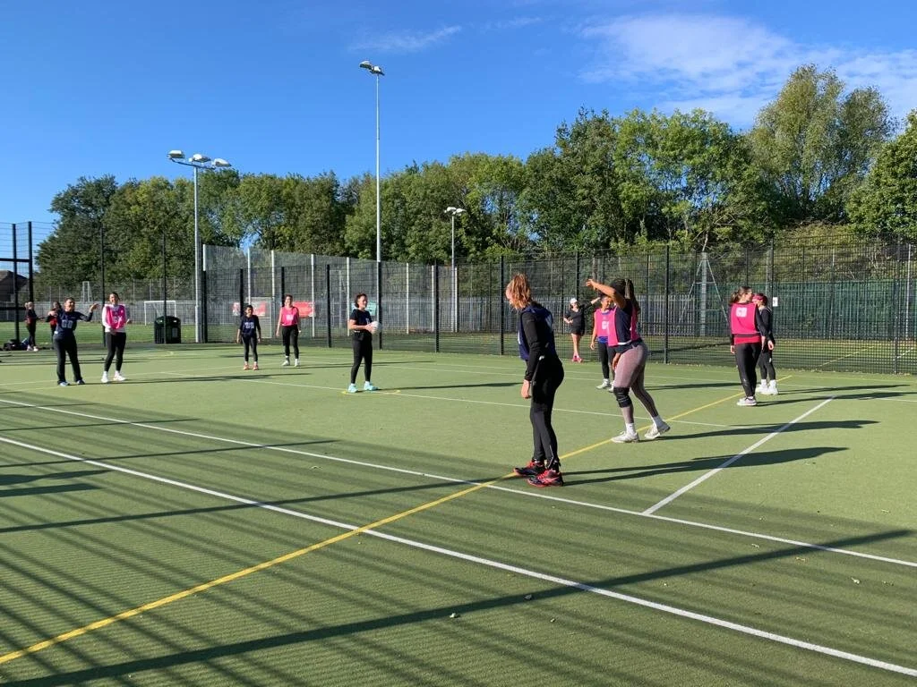 Fincs Friendly 1.jpeg