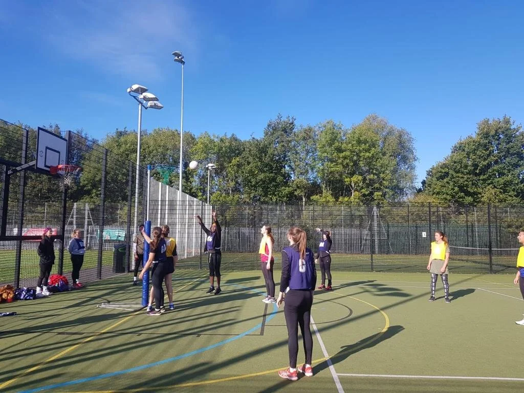 Fincs Friendly 5.jpeg