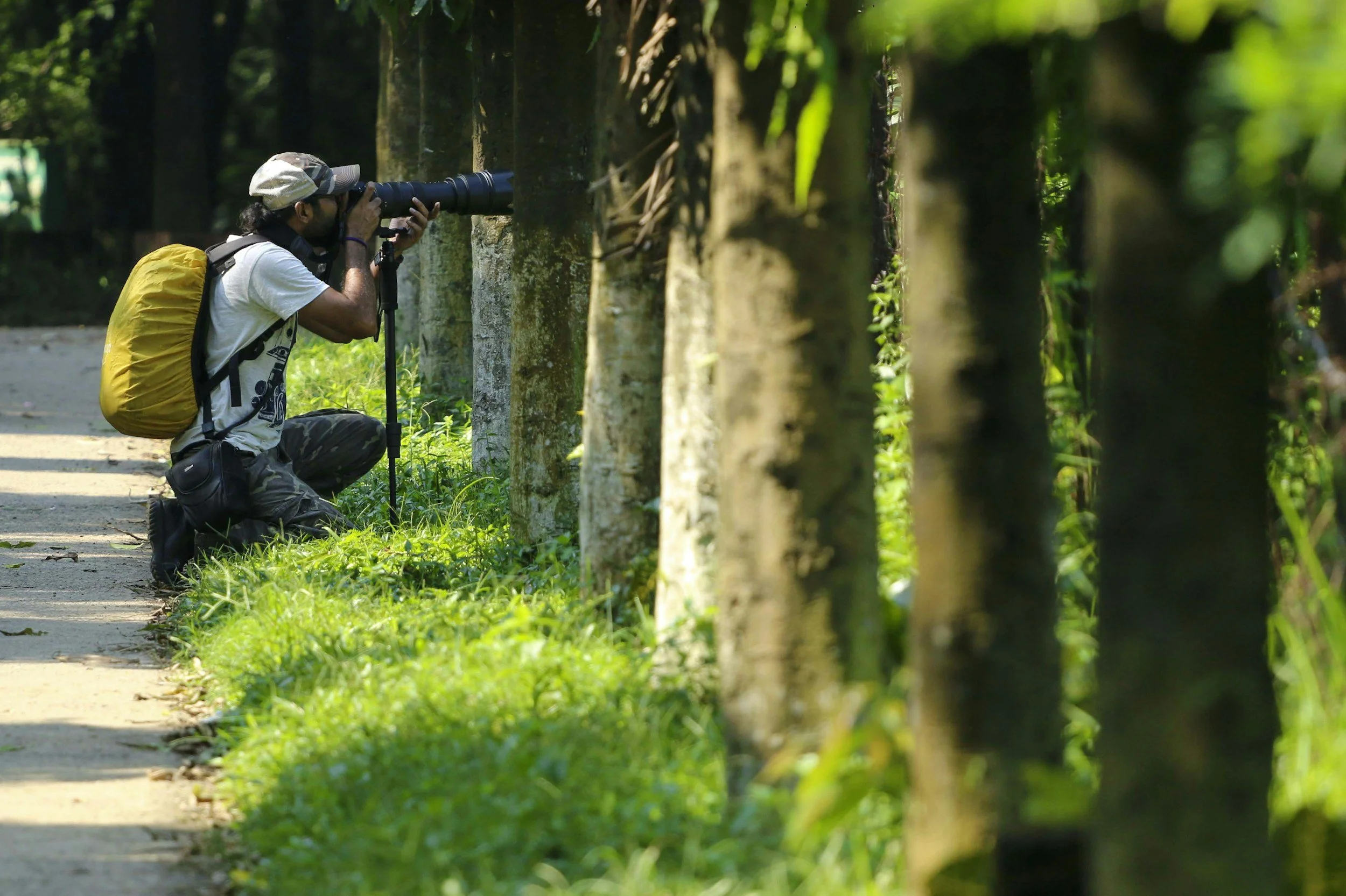 How Nature Docs Stay Authentic in High Heat