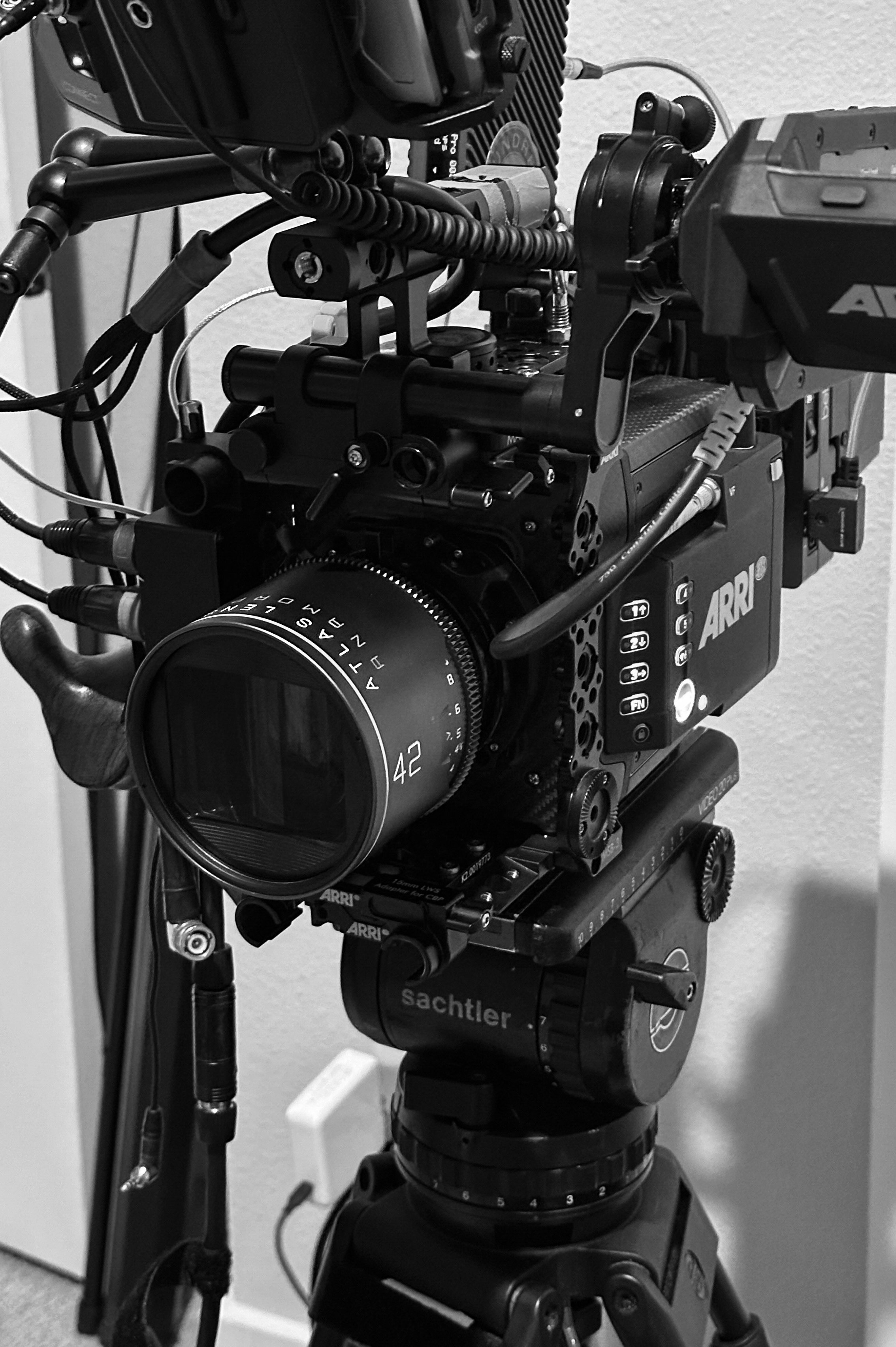 BW-8131.jpg